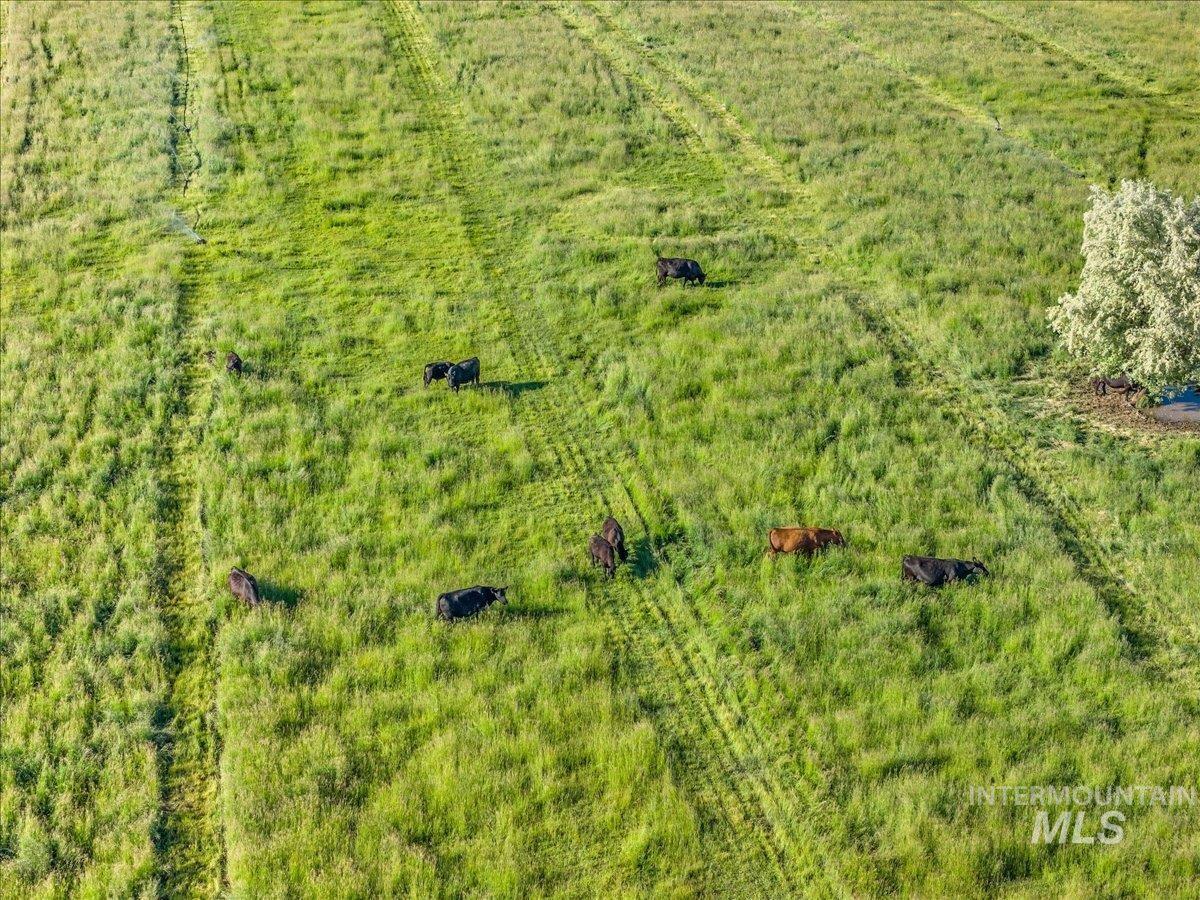 Parcel-1 Lower Pleasant Ridge Rd Wilder, Wilder, Idaho 83676, Land For Sale, Price $550,000,MLS 98989602