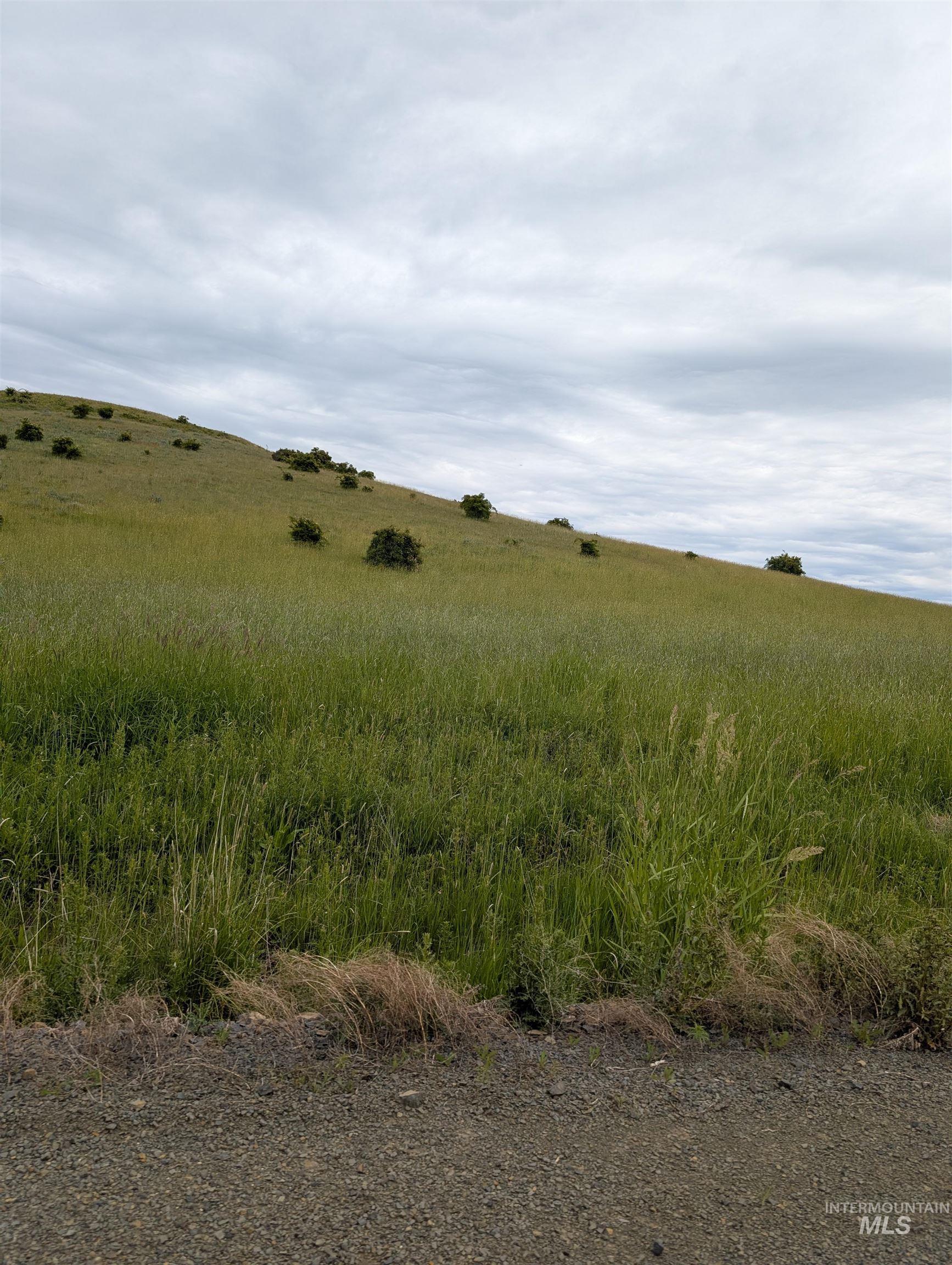 TBD Windrow Lane & Stillwater Road, Grangeville, Idaho 83539, Land For Sale, Price $900,000,MLS 98989620