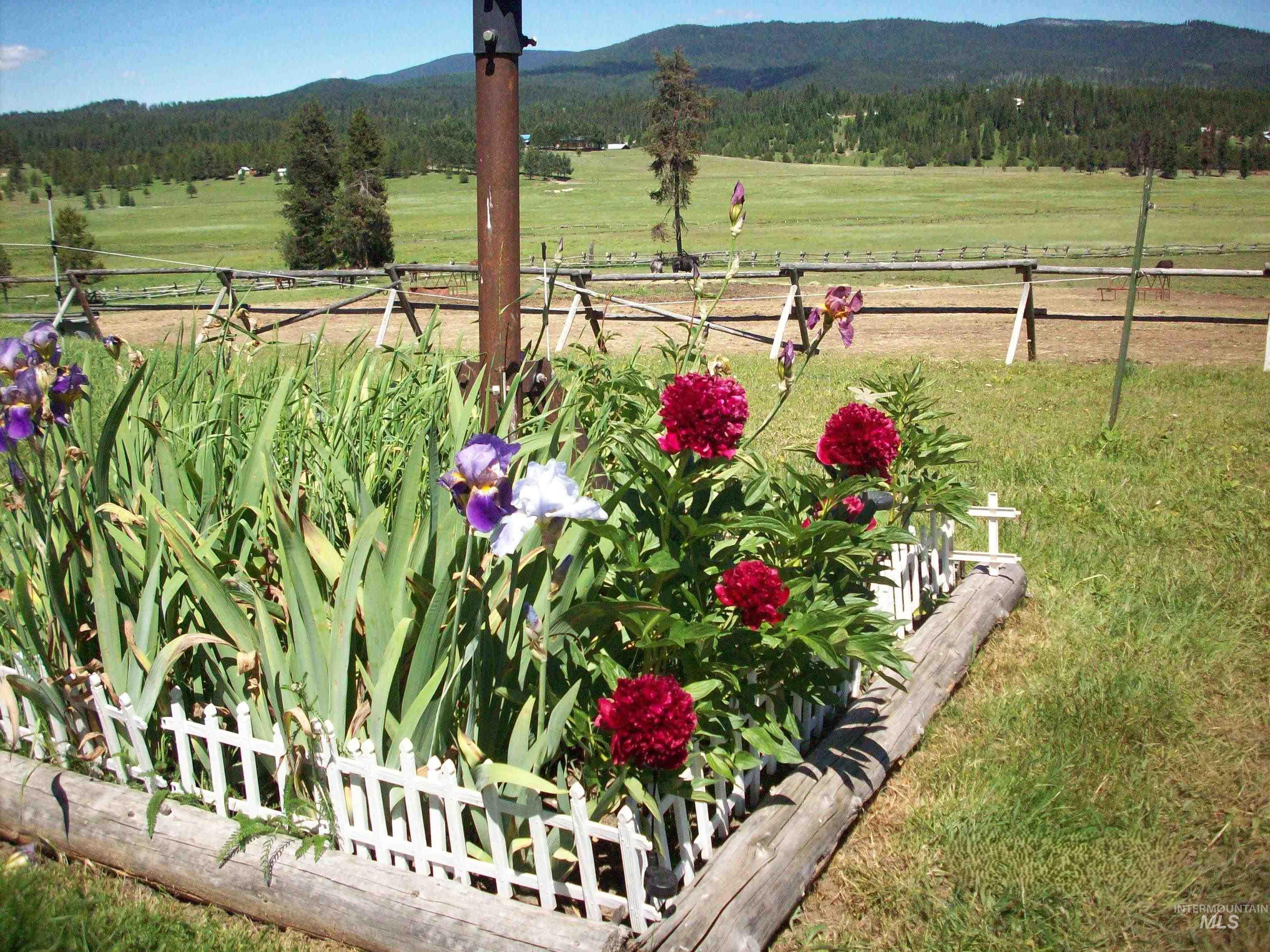 1050 Maxwell Lane, Elk City, Idaho 83525, 3 Bedrooms, 2 Bathrooms, Residential For Sale, Price $697,000, 98989623