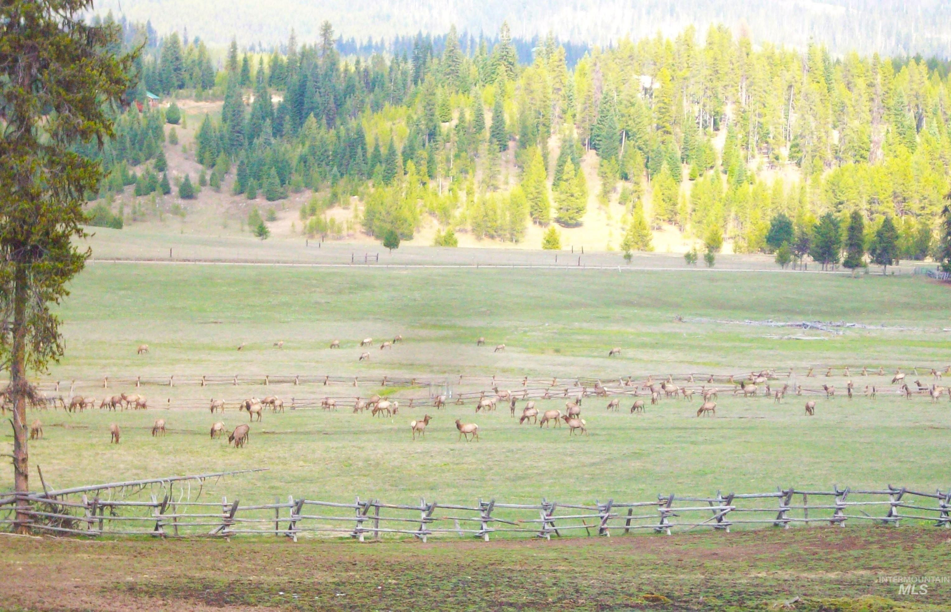 1050 Maxwell Lane, Elk City, Idaho 83525, 3 Bedrooms, 2 Bathrooms, Residential For Sale, Price $697,000, 98989623