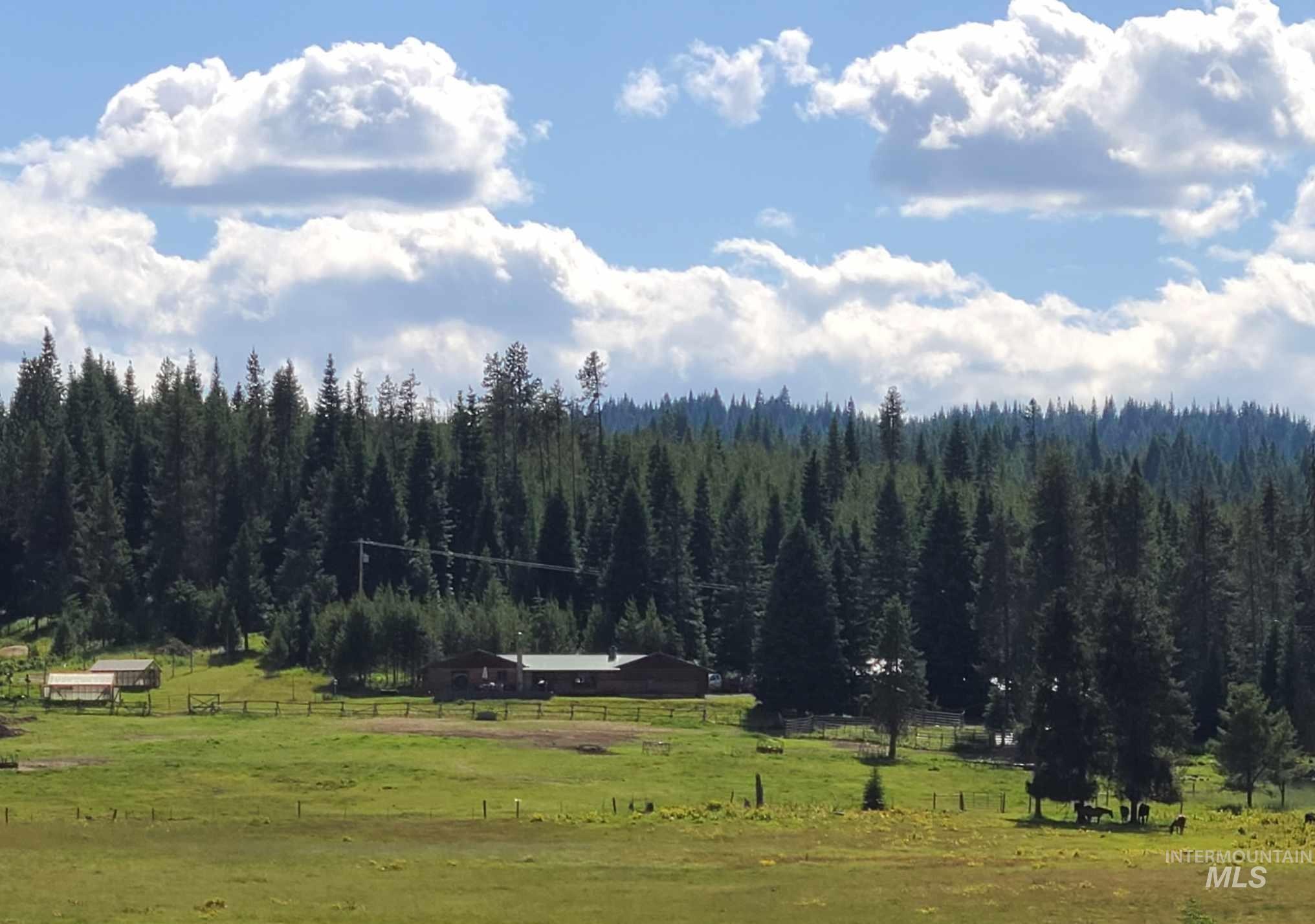 1050 Maxwell Lane, Elk City, Idaho 83525, 3 Bedrooms, 2 Bathrooms, Residential For Sale, Price $697,000, 98989623