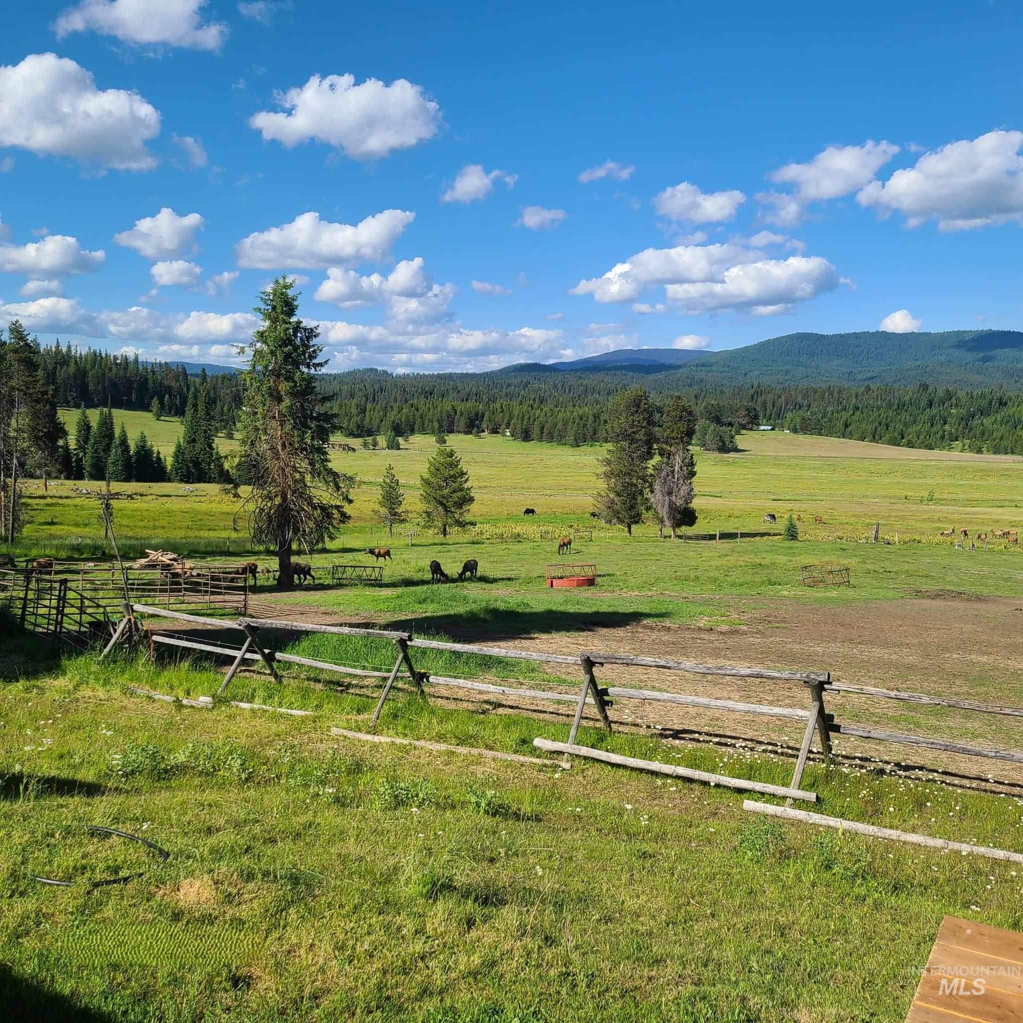 1050 Maxwell Lane, Elk City, Idaho 83525, 3 Bedrooms, 2 Bathrooms, Residential For Sale, Price $697,000, 98989623
