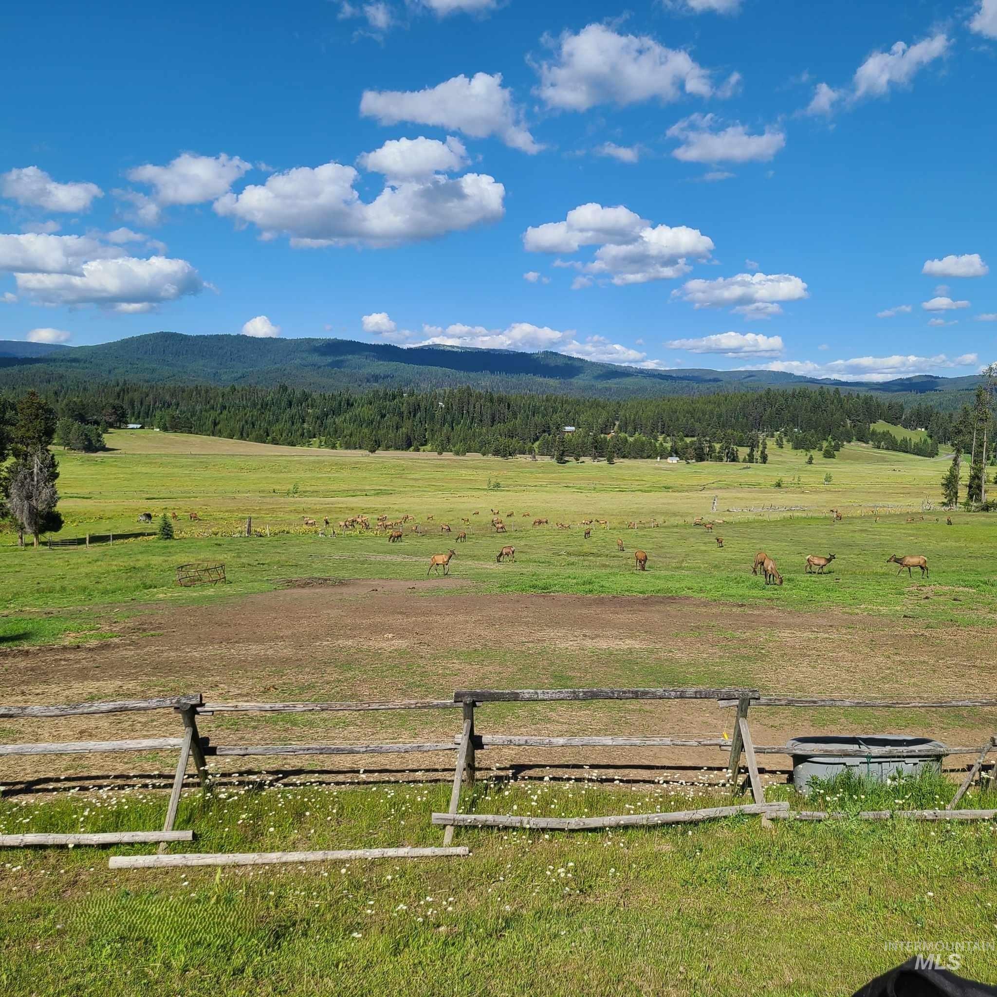 1050 Maxwell Lane, Elk City, Idaho 83525, 3 Bedrooms, 2 Bathrooms, Residential For Sale, Price $697,000, 98989623