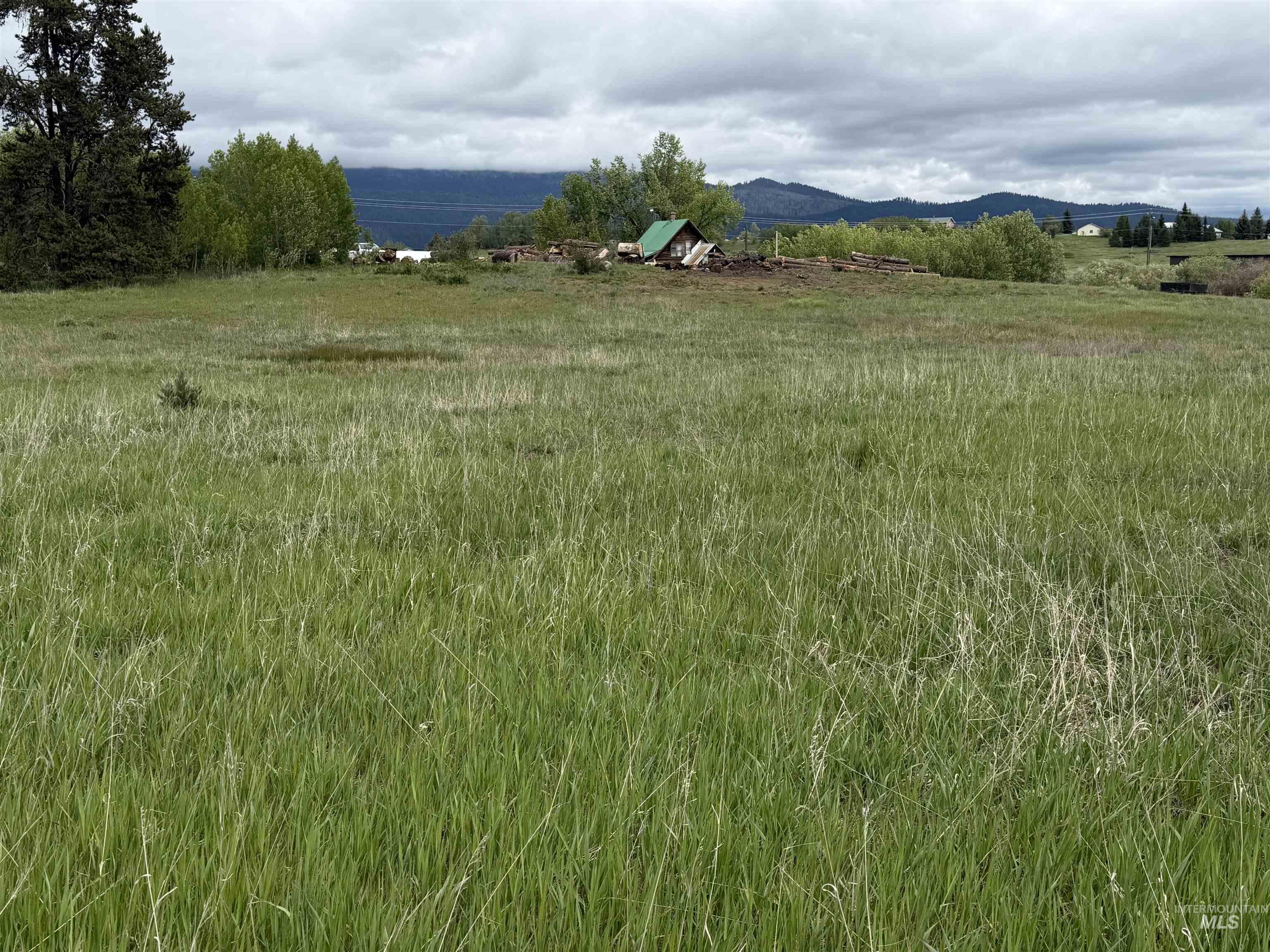 14031 HWY 55, McCall, Idaho 83638-9999, 2 Bedrooms, 1 Bathroom, Residential For Sale, Price $625,000,MLS 98989631