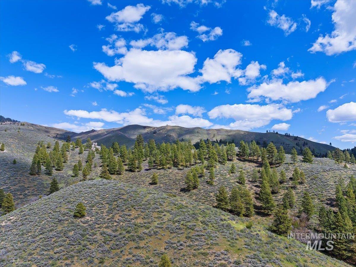 675 W Russell Dr, Prairie, Idaho 83647, 3 Bedrooms, 2 Bathrooms, Residential For Sale, Price $2,500,000,MLS 98989637