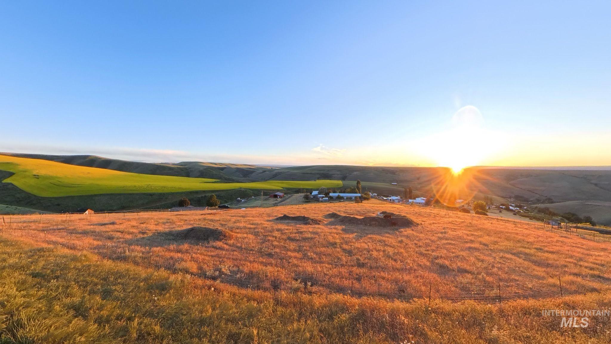 31761 Lonesome Hollow Ln, Lapwai, Idaho 83540, 4 Bedrooms, 2.5 Bathrooms, Residential For Sale, Price $637,250,MLS 98989640