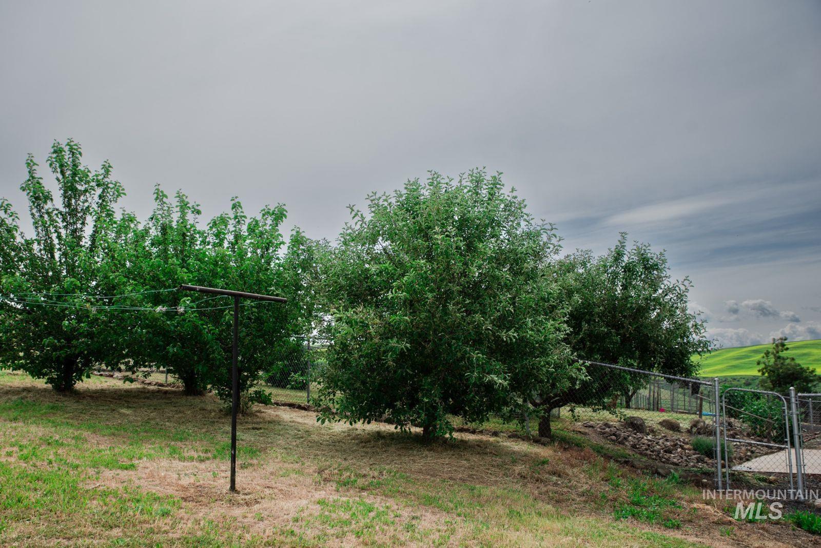 31761 Lonesome Hollow Ln, Lapwai, Idaho 83540, 4 Bedrooms, 2.5 Bathrooms, Residential For Sale, Price $637,250,MLS 98989640