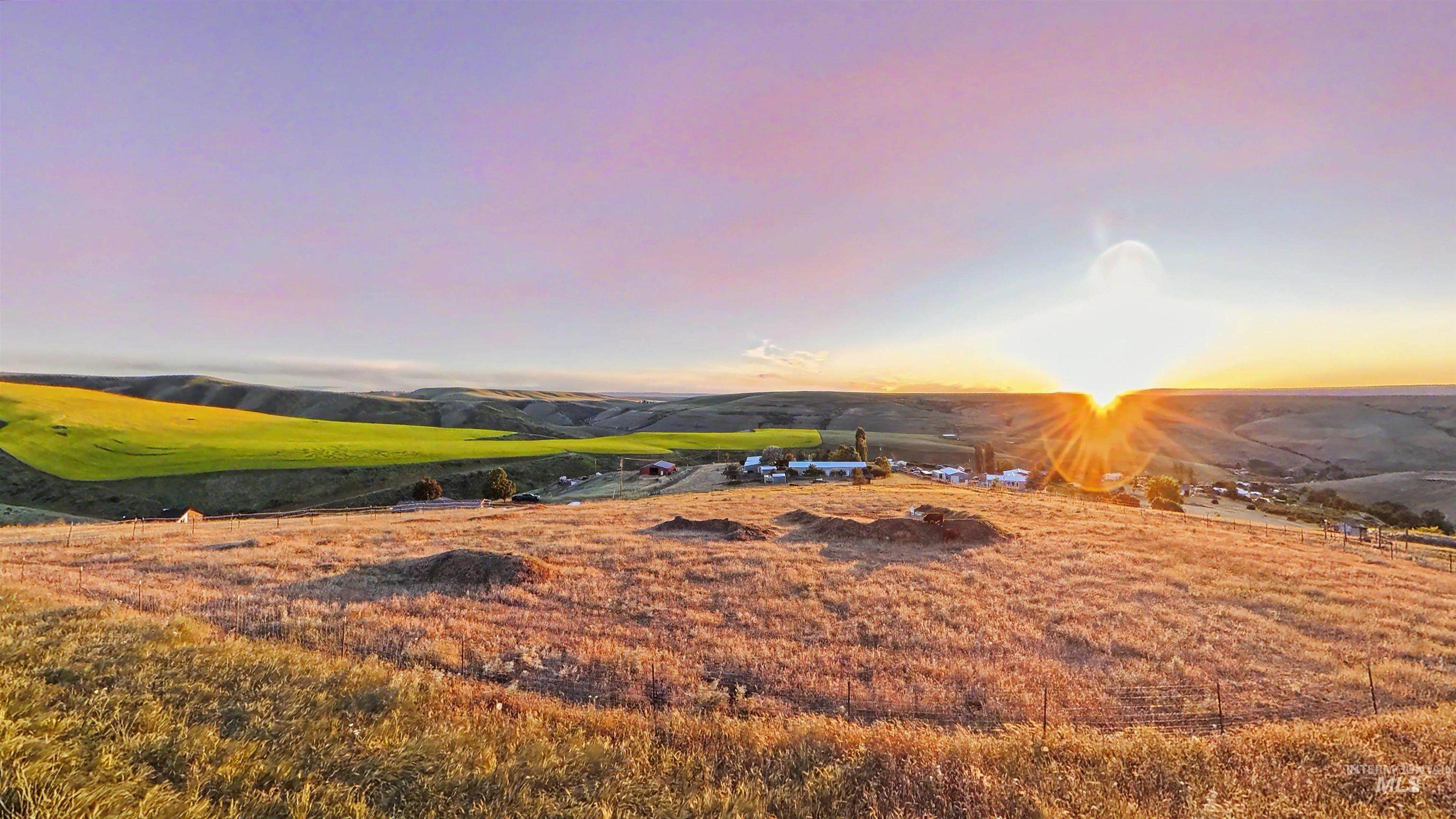 31761 Lonesome Hollow Ln, Lapwai, Idaho 83540, 4 Bedrooms, 2.5 Bathrooms, Residential For Sale, Price $627,750, 98989640
