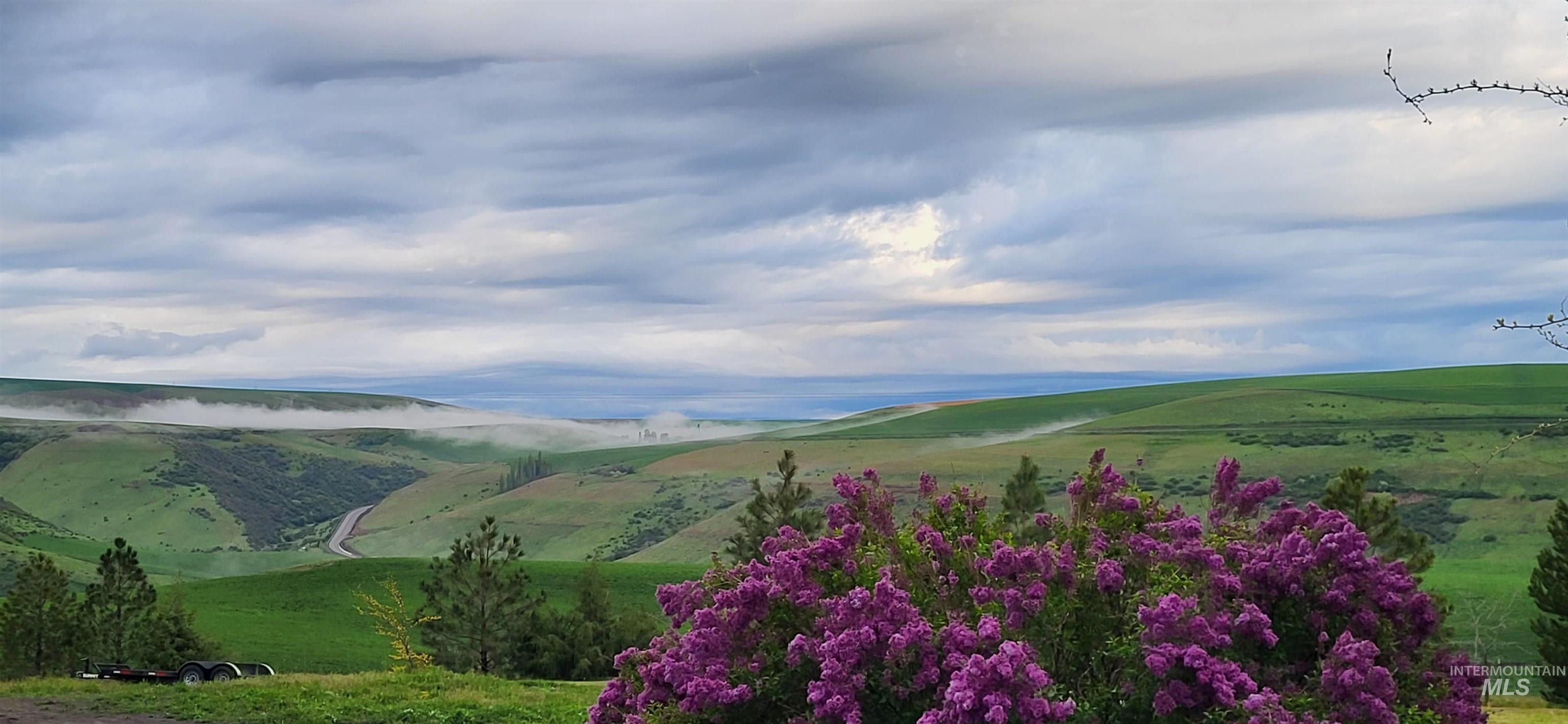 31761 Lonesome Hollow Ln, Lapwai, Idaho 83540, 4 Bedrooms, 2.5 Bathrooms, Residential For Sale, Price $637,250,MLS 98989640