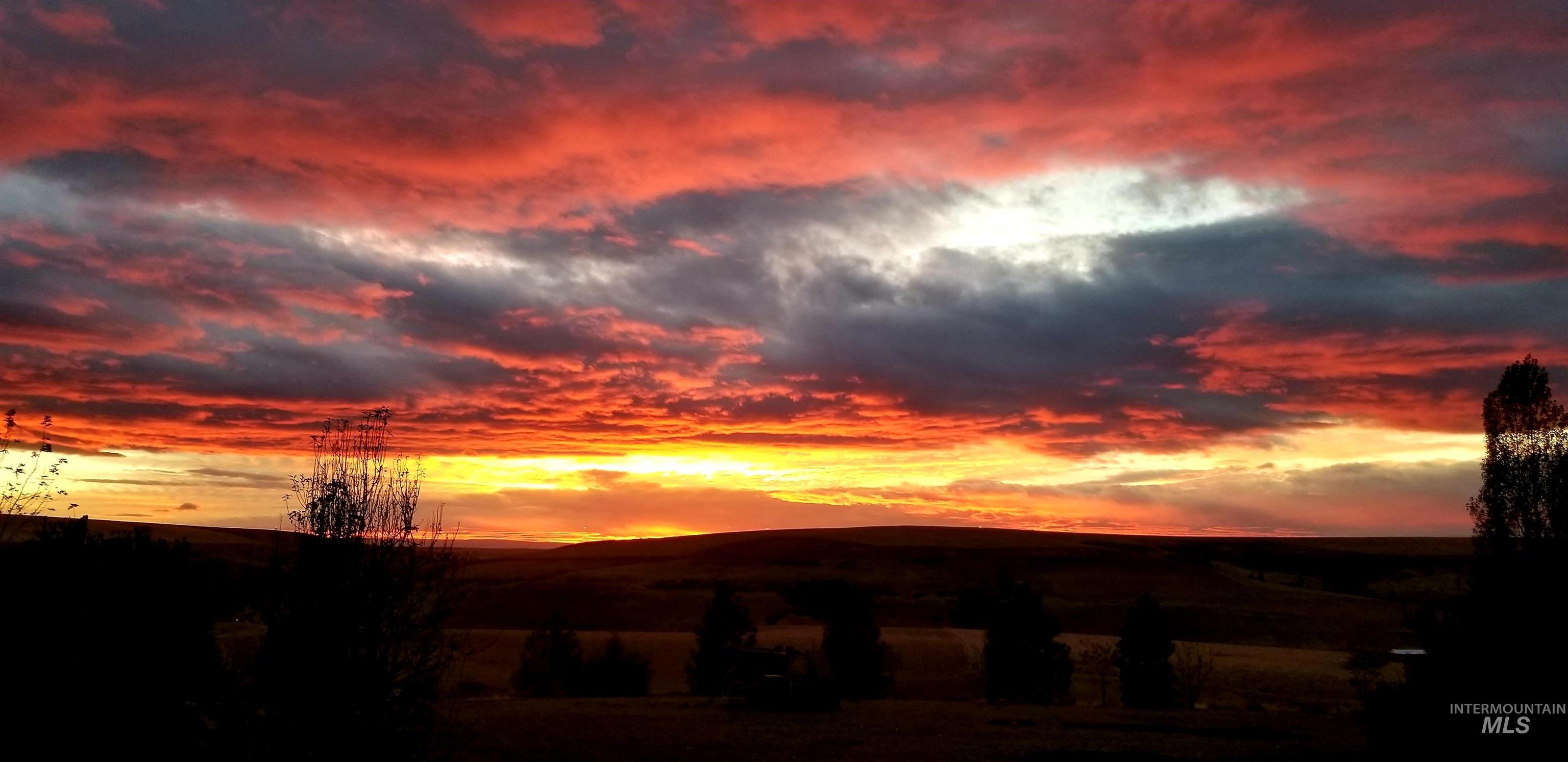 31761 Lonesome Hollow Ln, Lapwai, Idaho 83540, 4 Bedrooms, 2.5 Bathrooms, Residential For Sale, Price $637,250,MLS 98989640