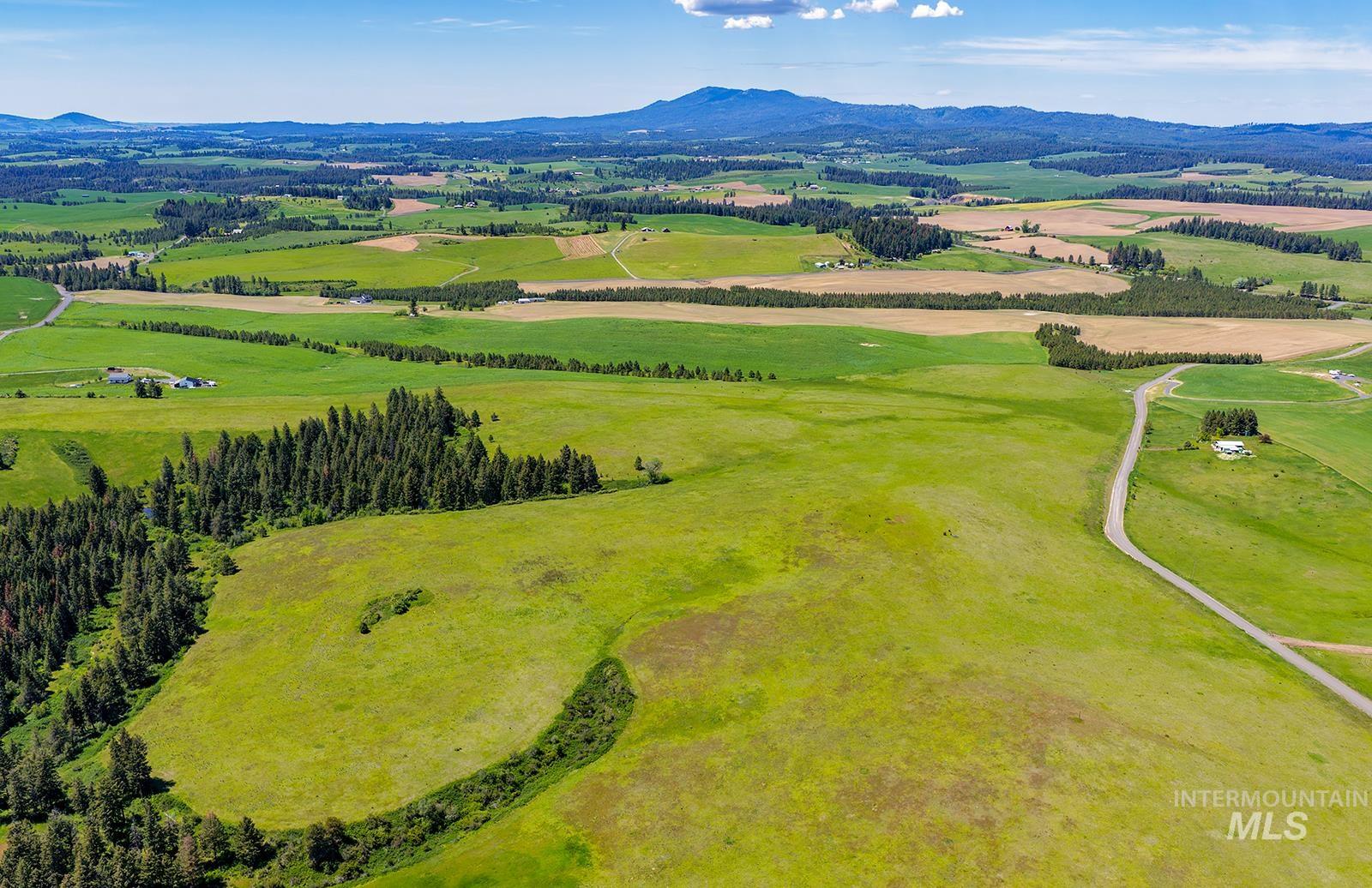 TBD Johnson Rd. Parcel #2, Deary, Idaho 83823, Land For Sale, Price $506,000, 98989650