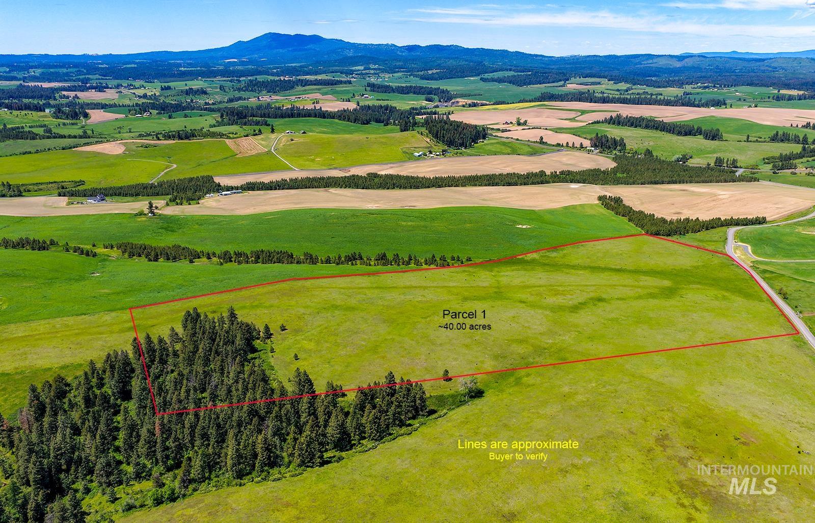 TBD Johnson Rd Parcel #1, Deary, Idaho 83823, Land For Sale, Price $520,000, 98989651