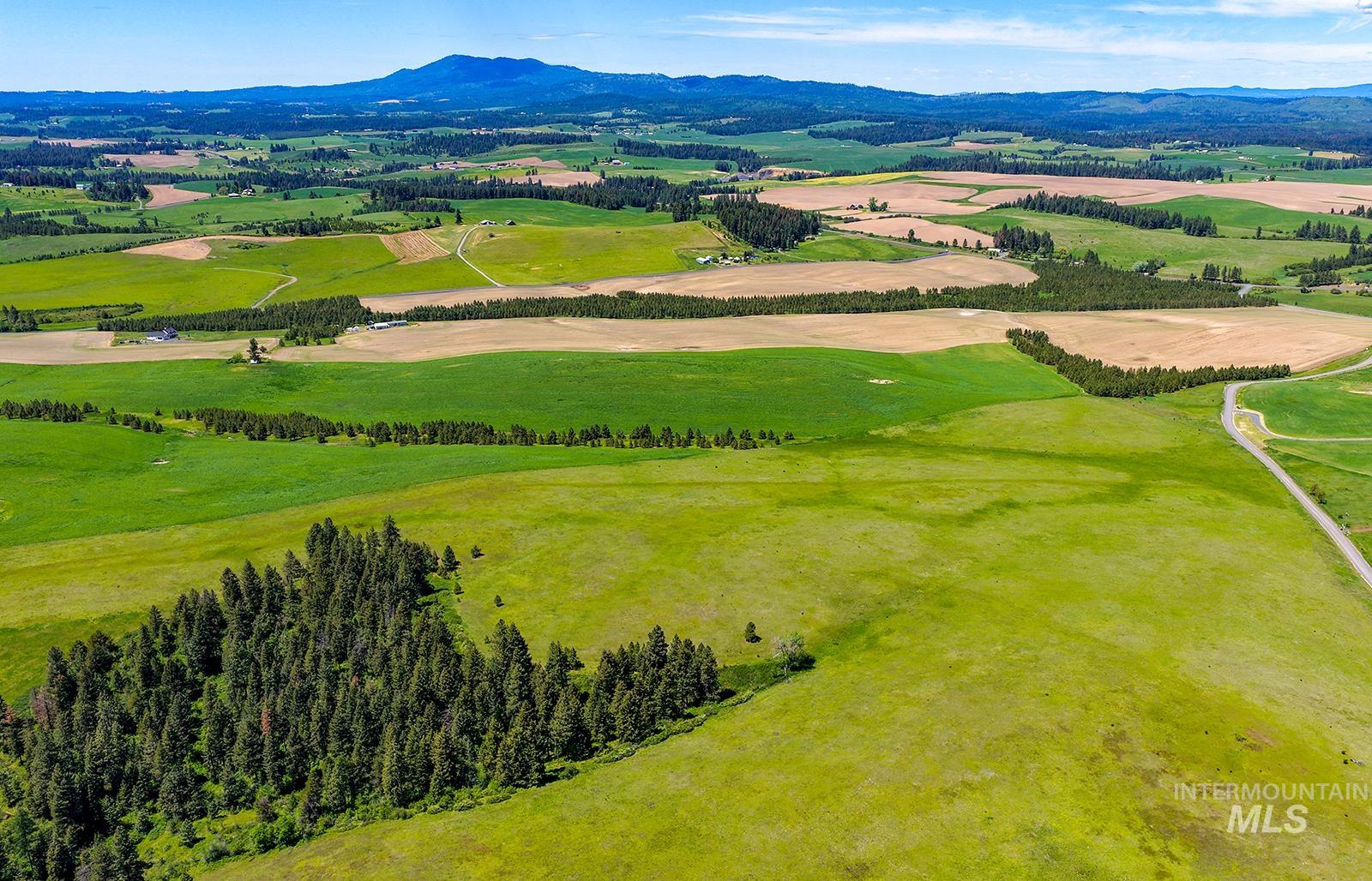 TBD Johnson Rd Parcel #1, Deary, Idaho 83823, Land For Sale, Price $520,000, 98989651