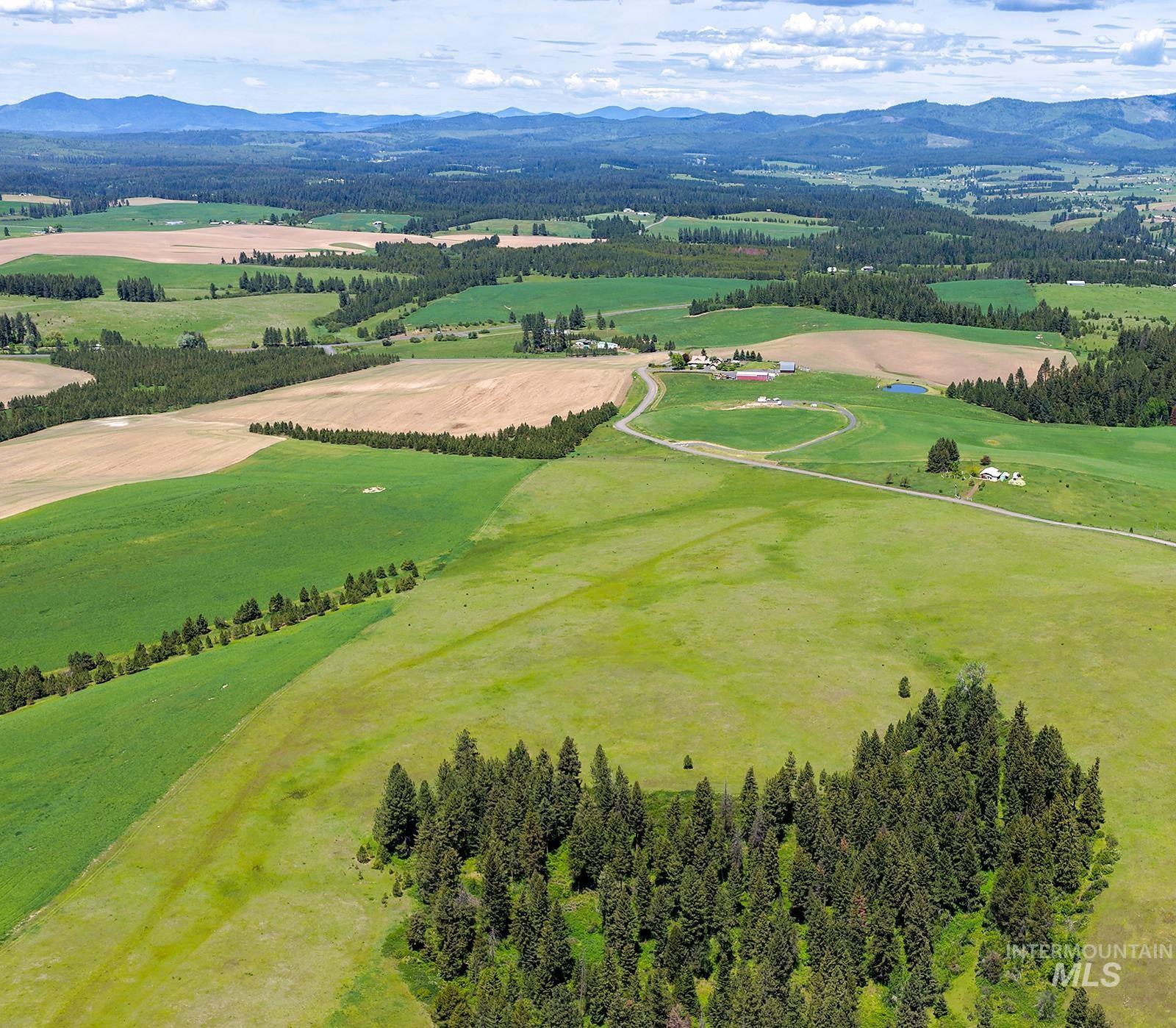 TBD Johnson Rd Parcel #1, Deary, Idaho 83823, Land For Sale, Price $520,000, 98989651