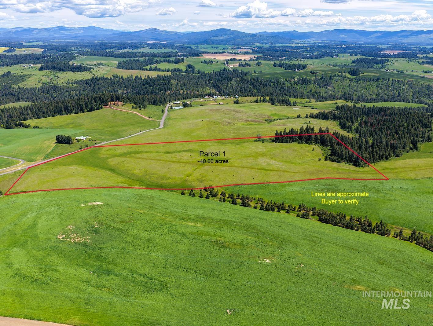 TBD Johnson Rd Parcel #1, Deary, Idaho 83823, Land For Sale, Price $520,000, 98989651