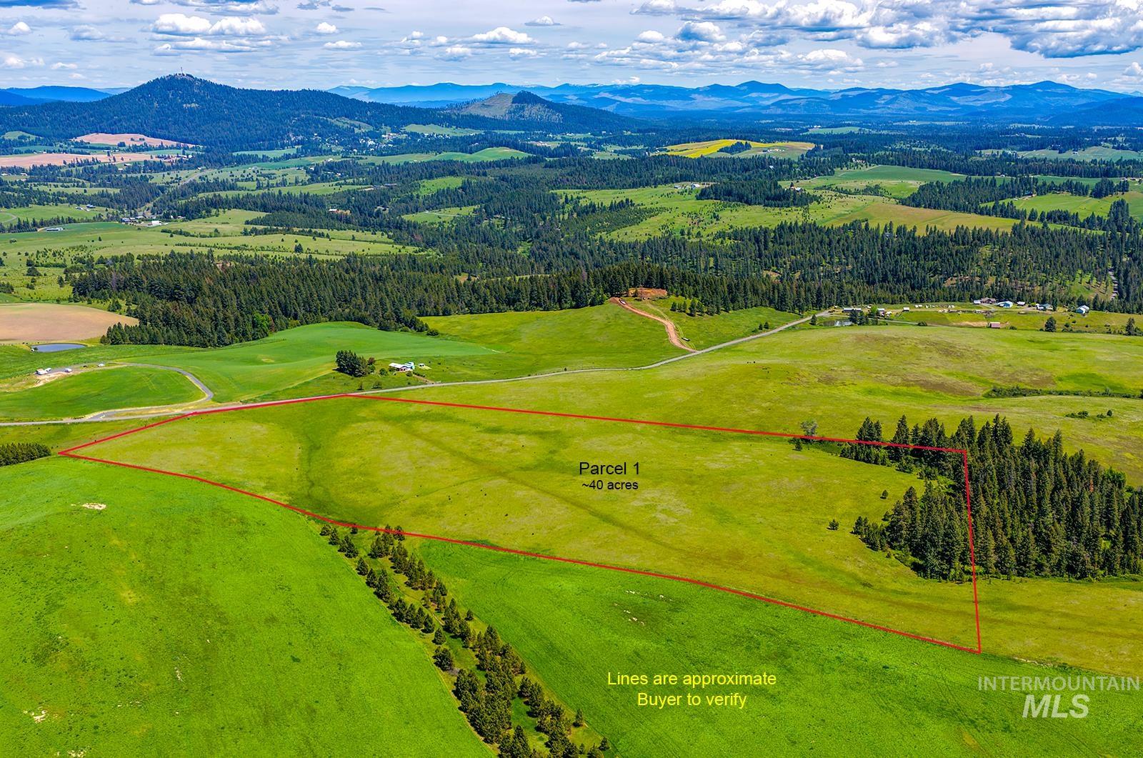 TBD Johnson Rd Parcel #1, Deary, Idaho 83823, Land For Sale, Price $520,000, 98989651