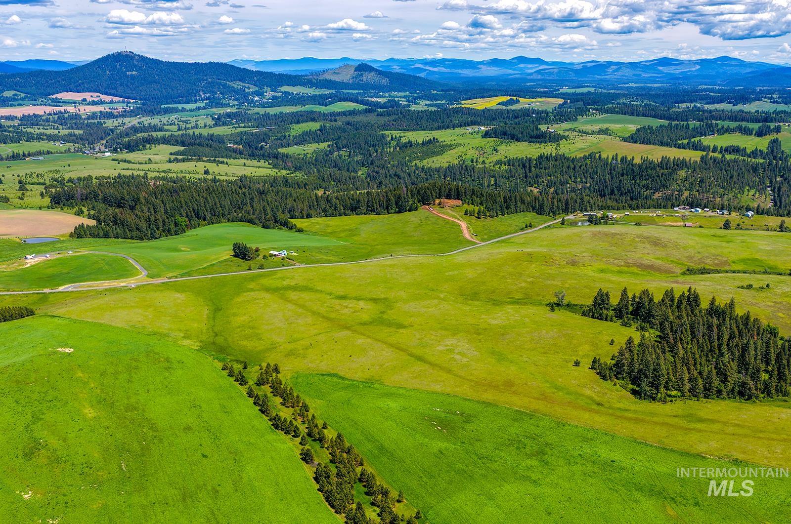 TBD Johnson Rd Parcel #1, Deary, Idaho 83823, Land For Sale, Price $520,000, 98989651