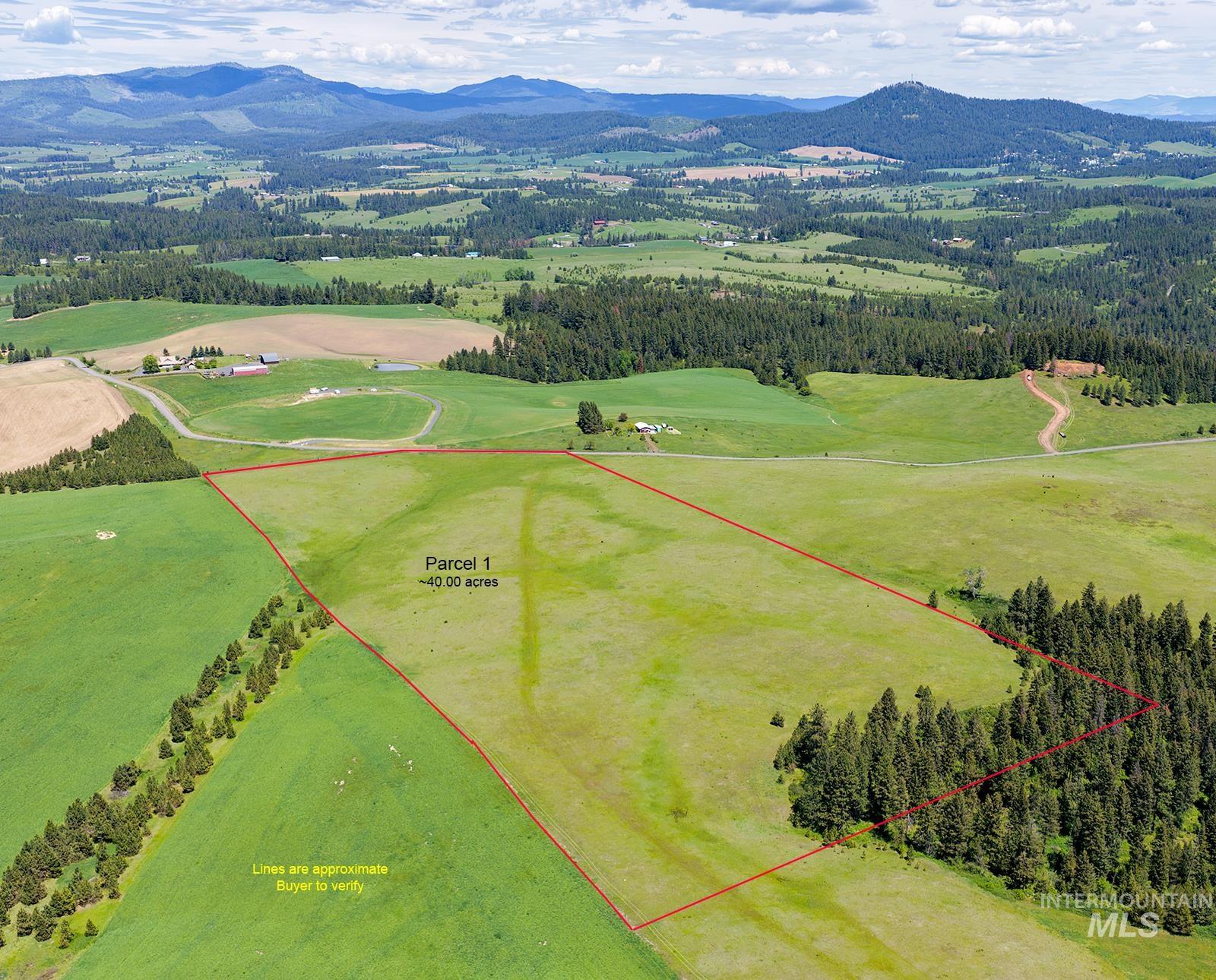 TBD Johnson Rd Parcel #1, Deary, Idaho 83823, Land For Sale, Price $520,000, 98989651