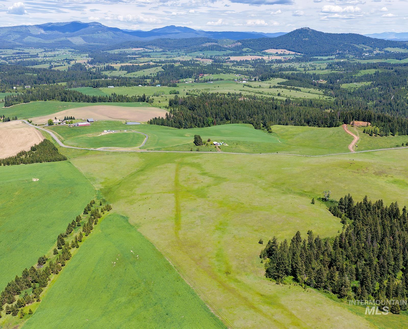 TBD Johnson Rd Parcel #1, Deary, Idaho 83823, Land For Sale, Price $520,000, 98989651