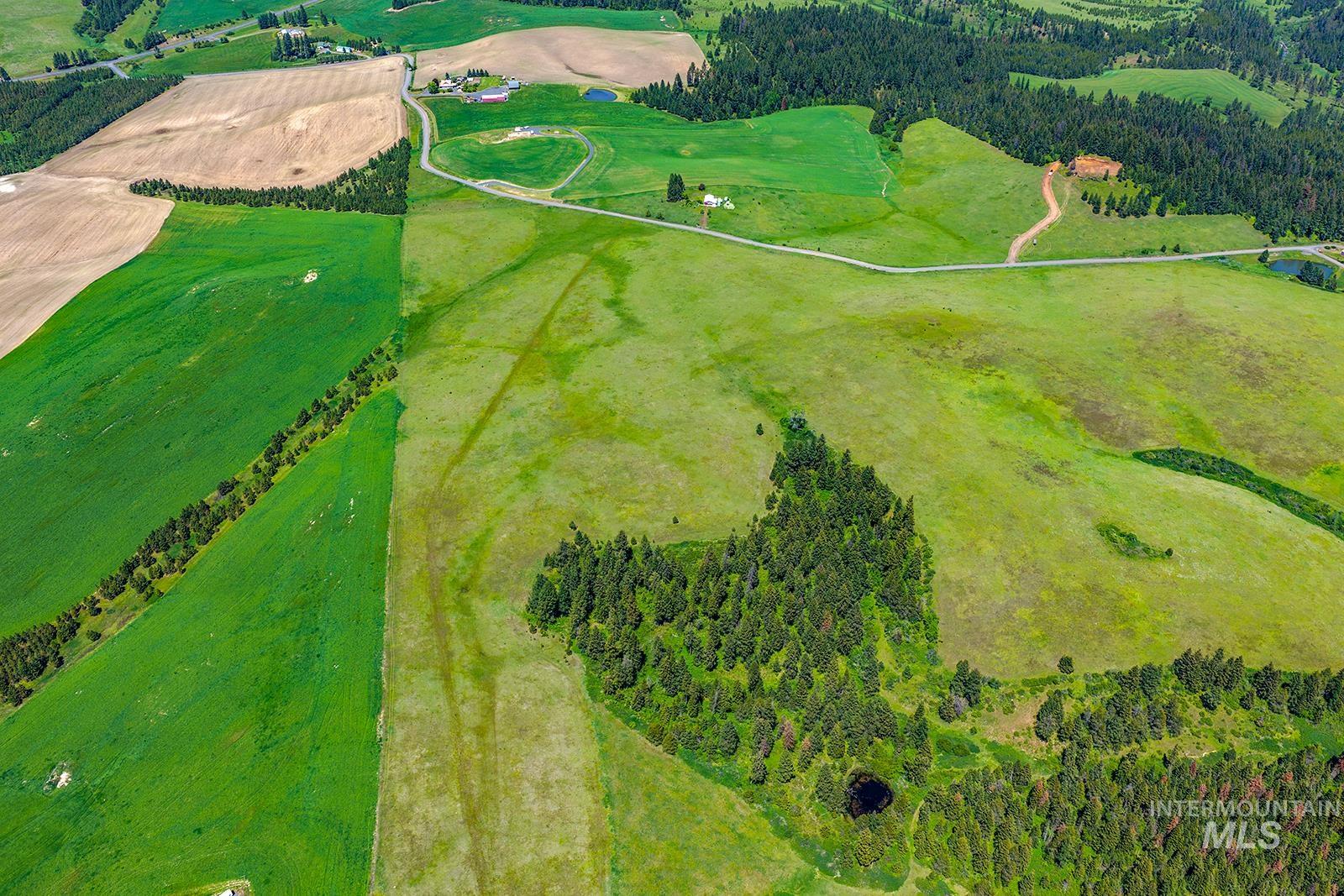 TBD Johnson Rd Parcel #1, Deary, Idaho 83823, Land For Sale, Price $520,000, 98989651