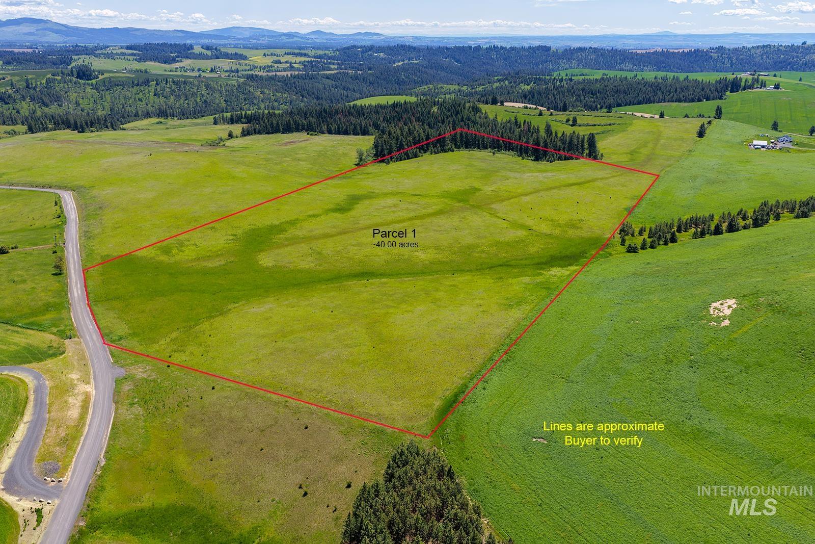 TBD Johnson Rd Parcel #1, Deary, Idaho 83823, Land For Sale, Price $520,000, 98989651
