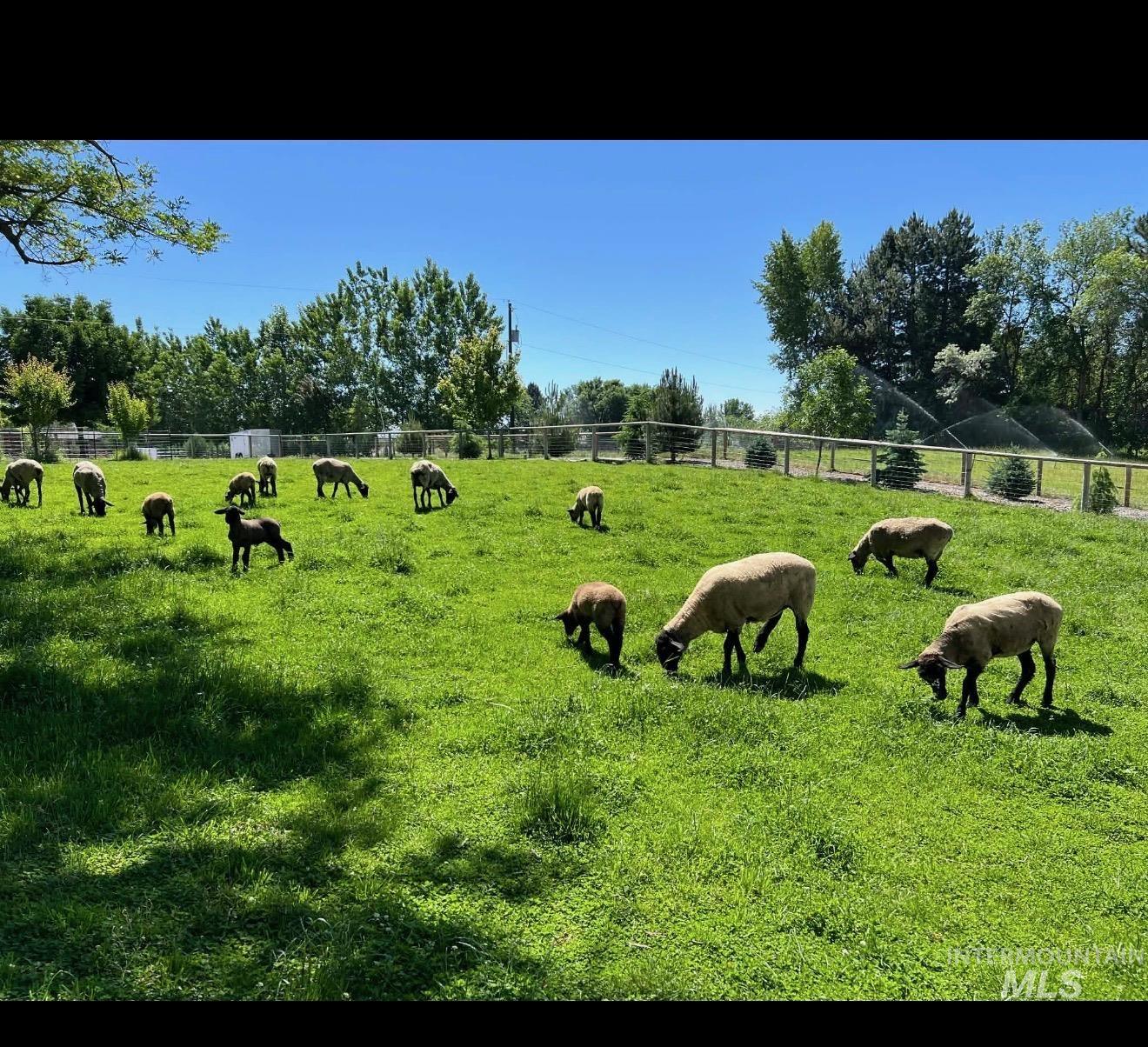 1825 W Beacon Light Rd, Eagle, Idaho 83616, 4 Bedrooms, 3 Bathrooms, Residential For Sale, Price $1,675,000, 98989664
