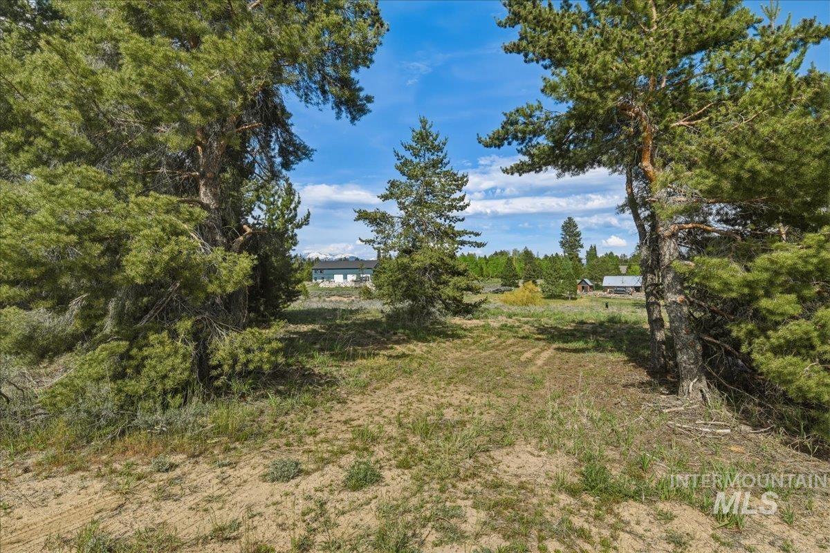 13124 Cameron Dr, Donnelly, Idaho 83615, Land For Sale, Price $199,900,MLS 98989665