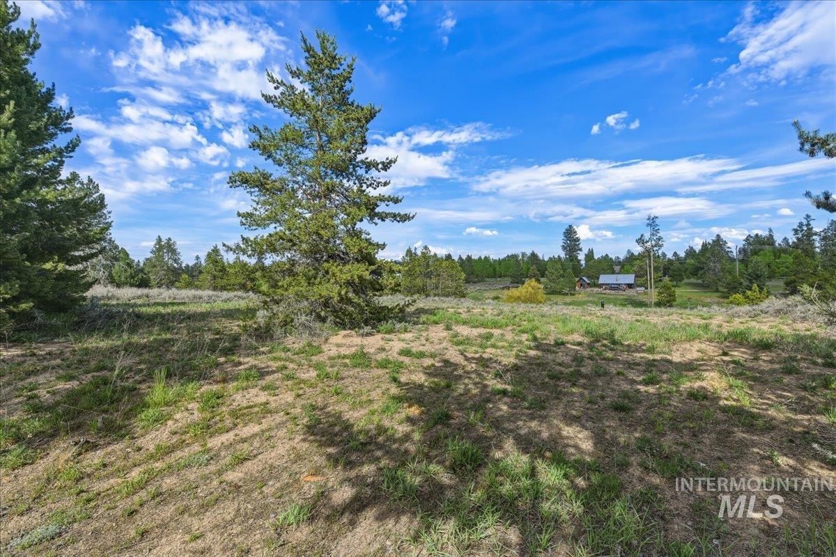 13124 Cameron Dr, Donnelly, Idaho 83615, Land For Sale, Price $199,900,MLS 98989665