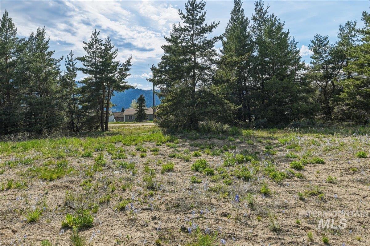 13124 Cameron Dr, Donnelly, Idaho 83615, Land For Sale, Price $199,900,MLS 98989665