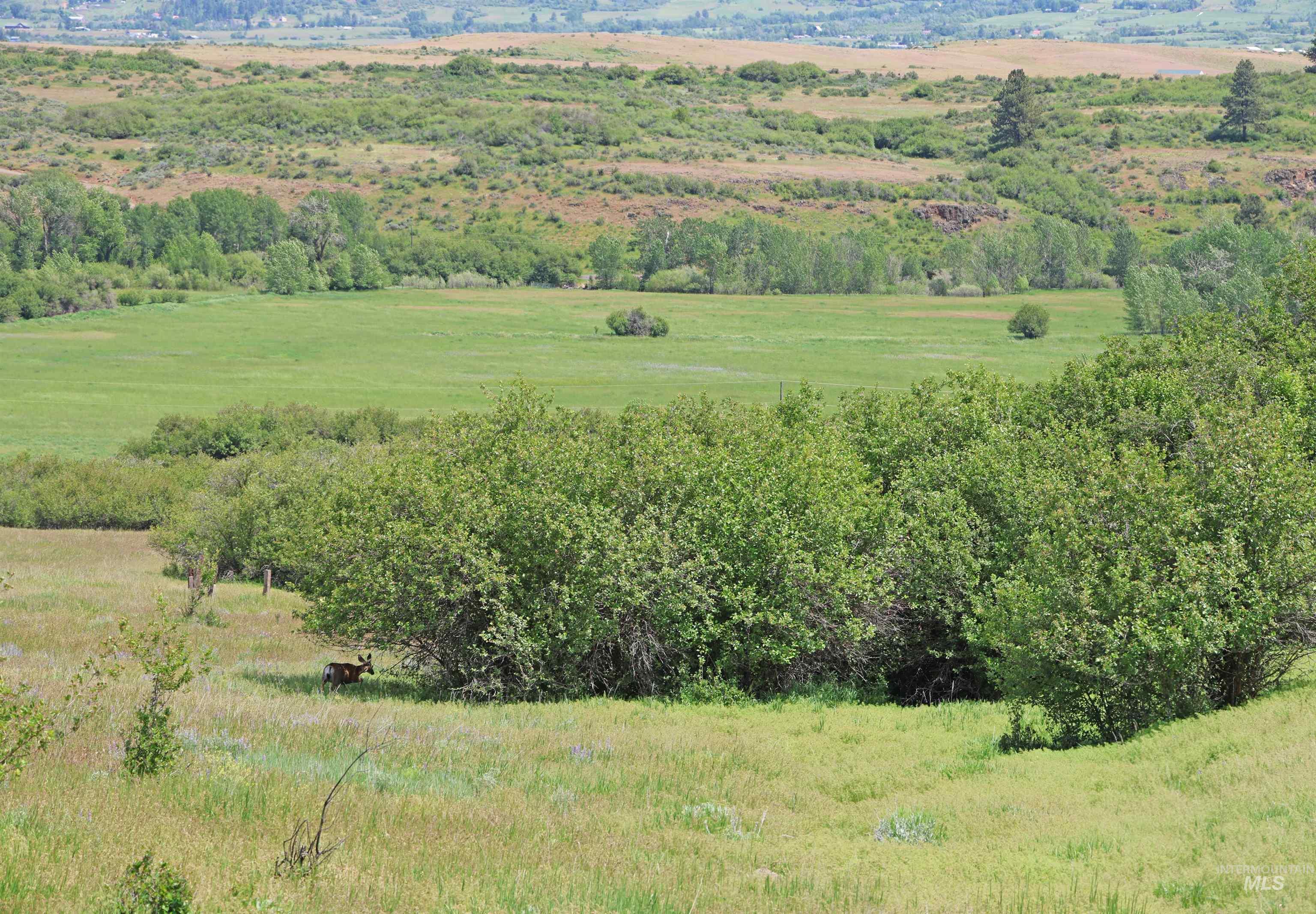 TBD Old Hornet Road C, Council, Idaho 83612, Land For Sale, Price $300,000,MLS 98989682