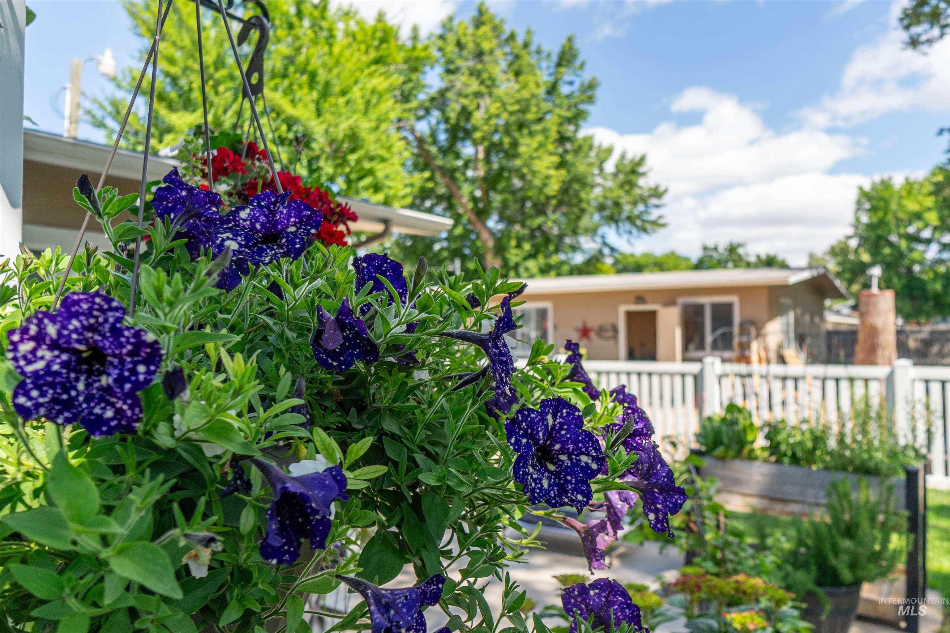 910 N Plateau Ave, Caldwell, Idaho 83605, 5 Bedrooms, 3 Bathrooms, Residential For Sale, Price $625,000, 98989766