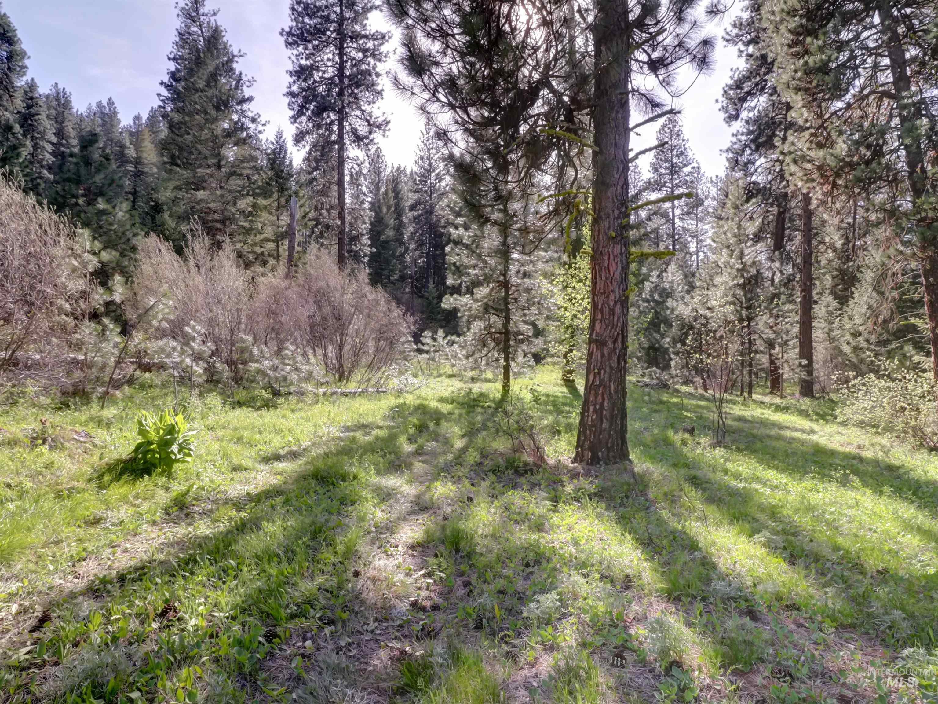 0 Golden Trails, Boise, Idaho 83716, Land For Sale, Price $159,900, 98989776