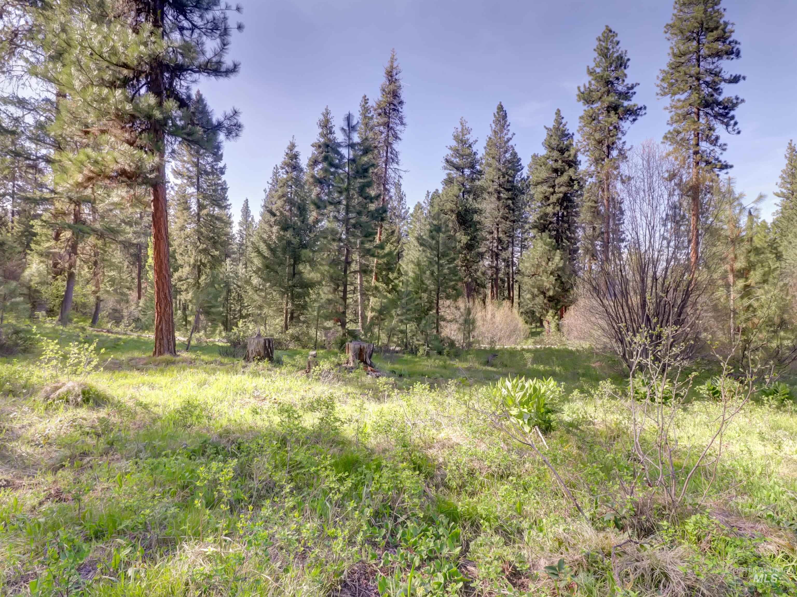 0 Golden Trails, Boise, Idaho 83716, Land For Sale, Price $159,900, 98989776