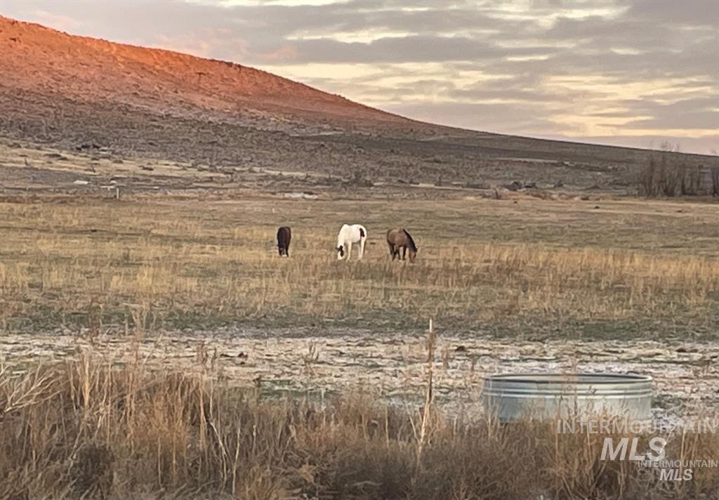 TBD Rattlesnake Ridge, Melba, Idaho 83642, Land For Sale, Price $350,000, 98989808