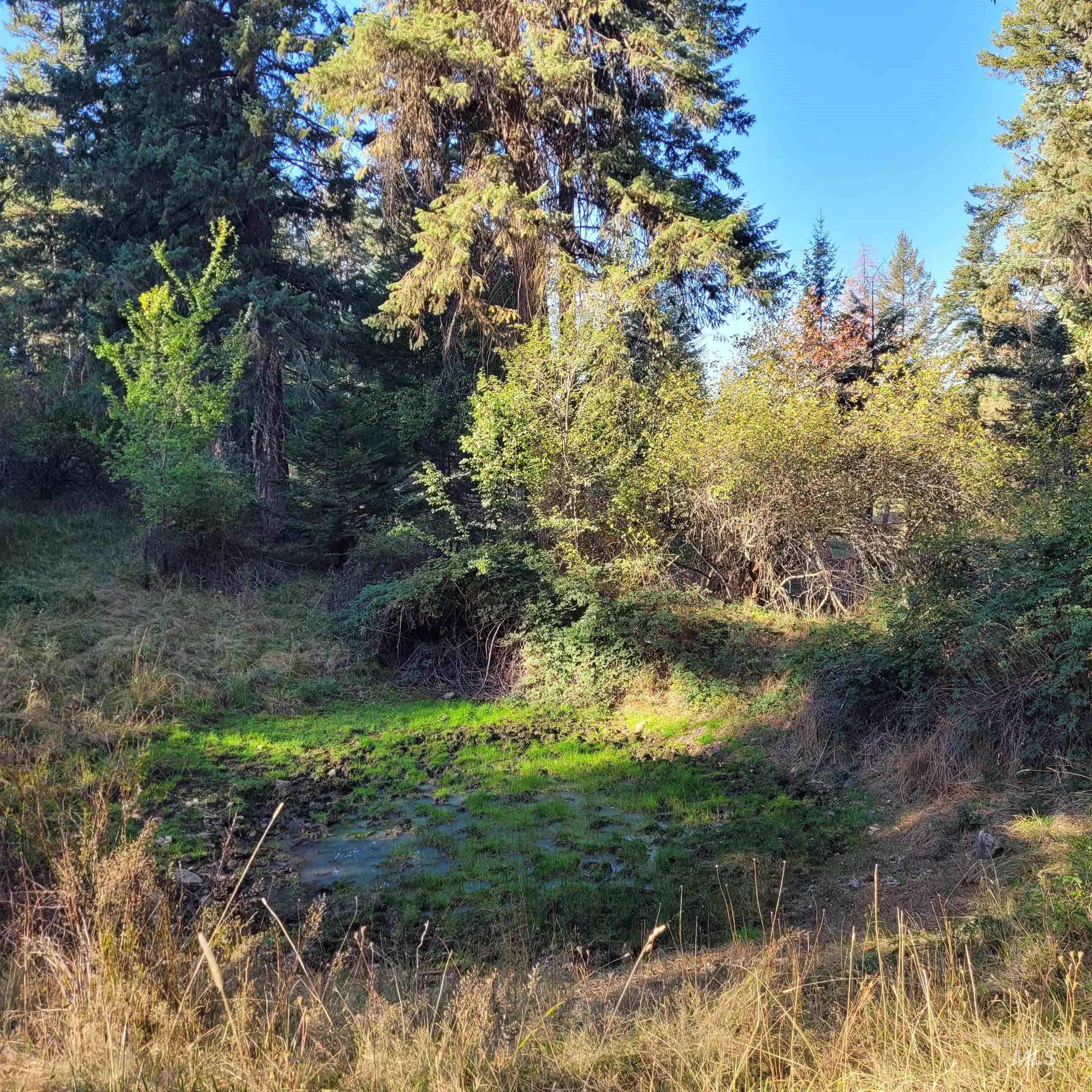 Parcel A Elk City Wagon Road, Clearwater, Idaho 83552, Land For Sale, Price $85,000,MLS 98989847