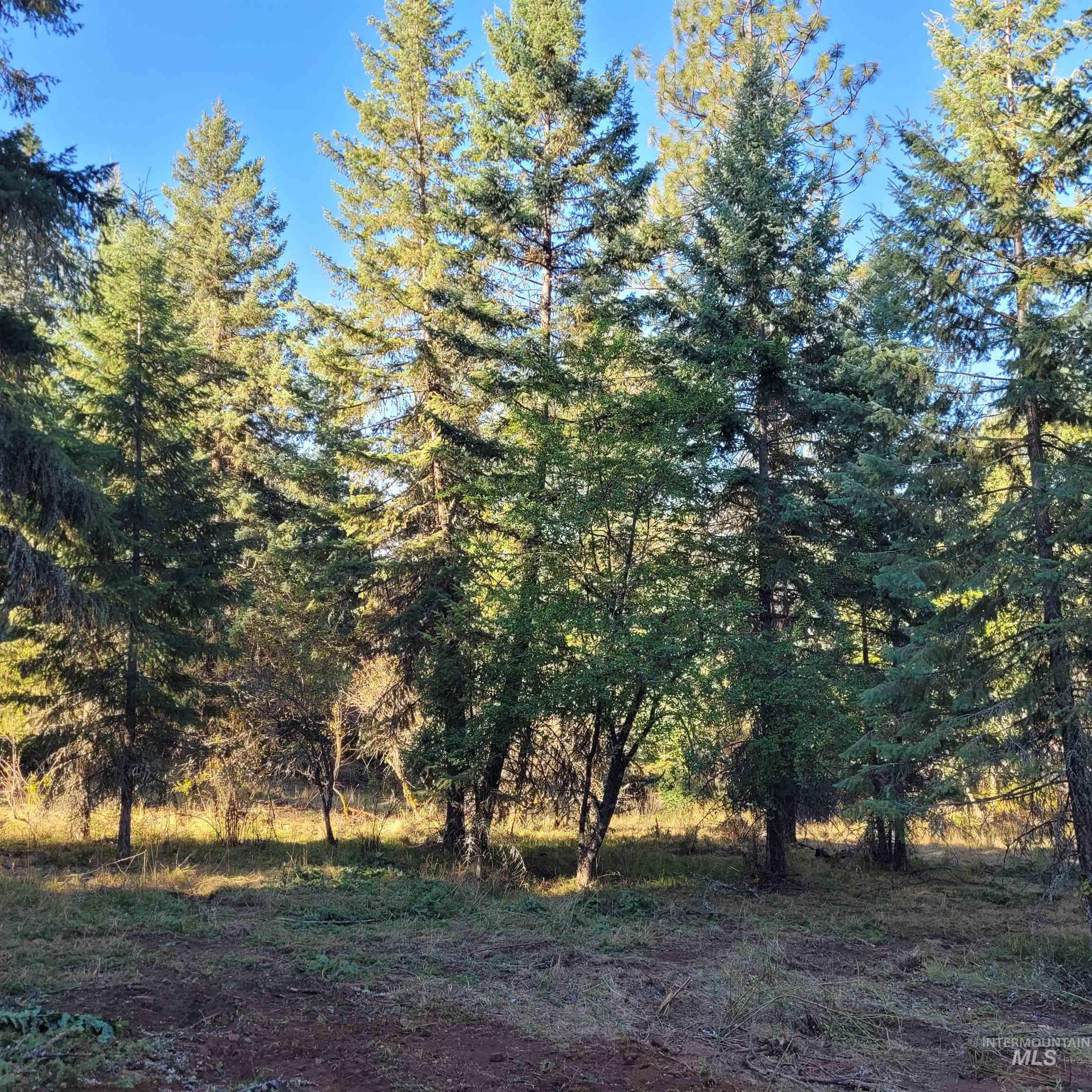 Parcel A Elk City Wagon Road, Clearwater, Idaho 83552, Land For Sale, Price $85,000,MLS 98989847