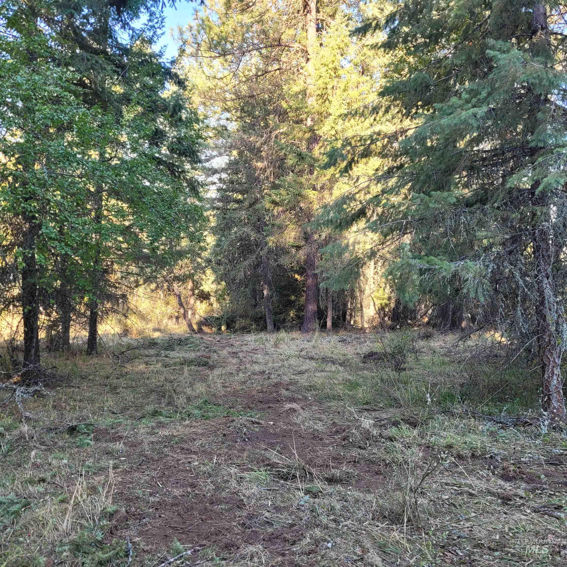 Parcel A Elk City Wagon Road, Clearwater, Idaho 83552, Land For Sale, Price $85,000,MLS 98989847