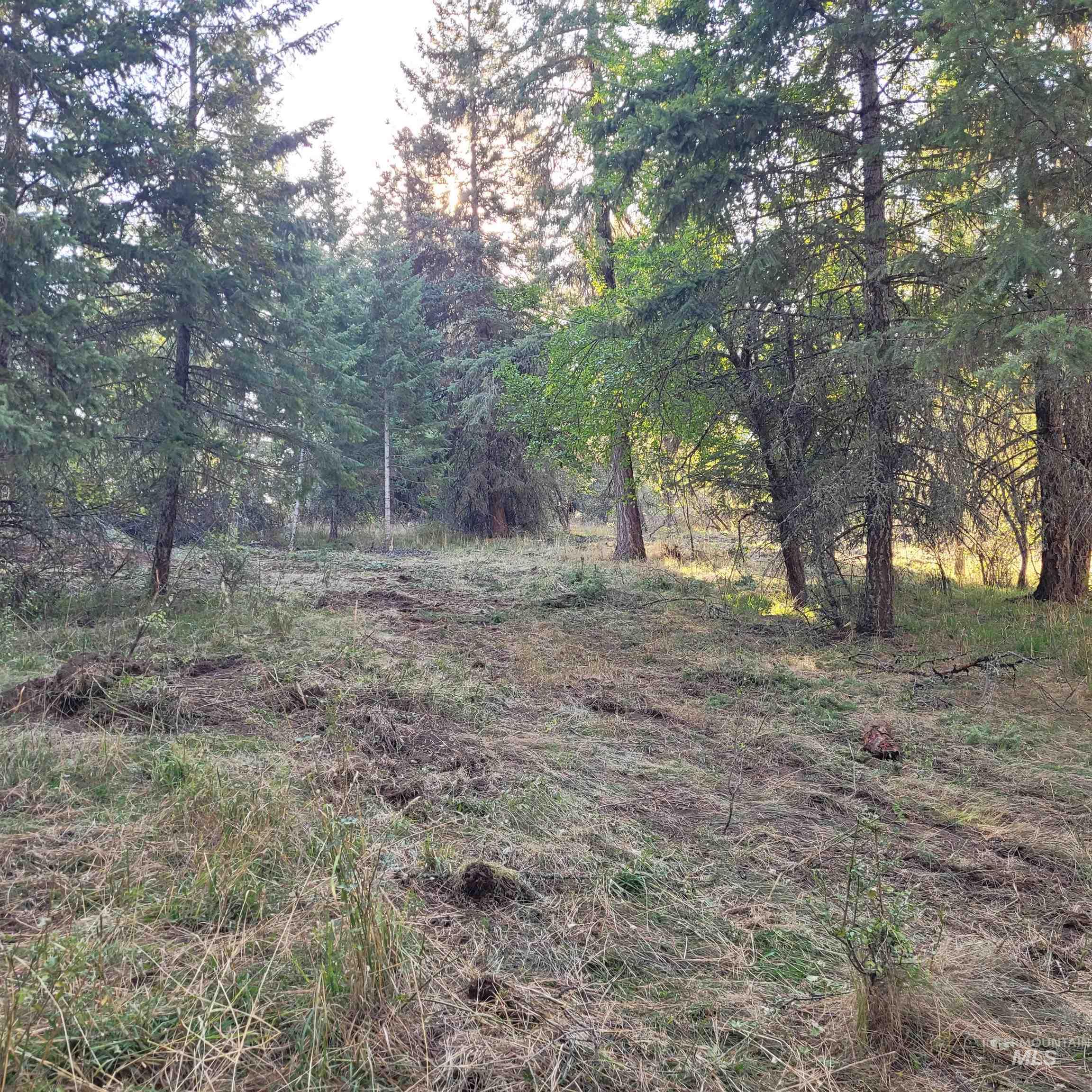 Parcel A Elk City Wagon Road, Clearwater, Idaho 83552, Land For Sale, Price $85,000,MLS 98989847