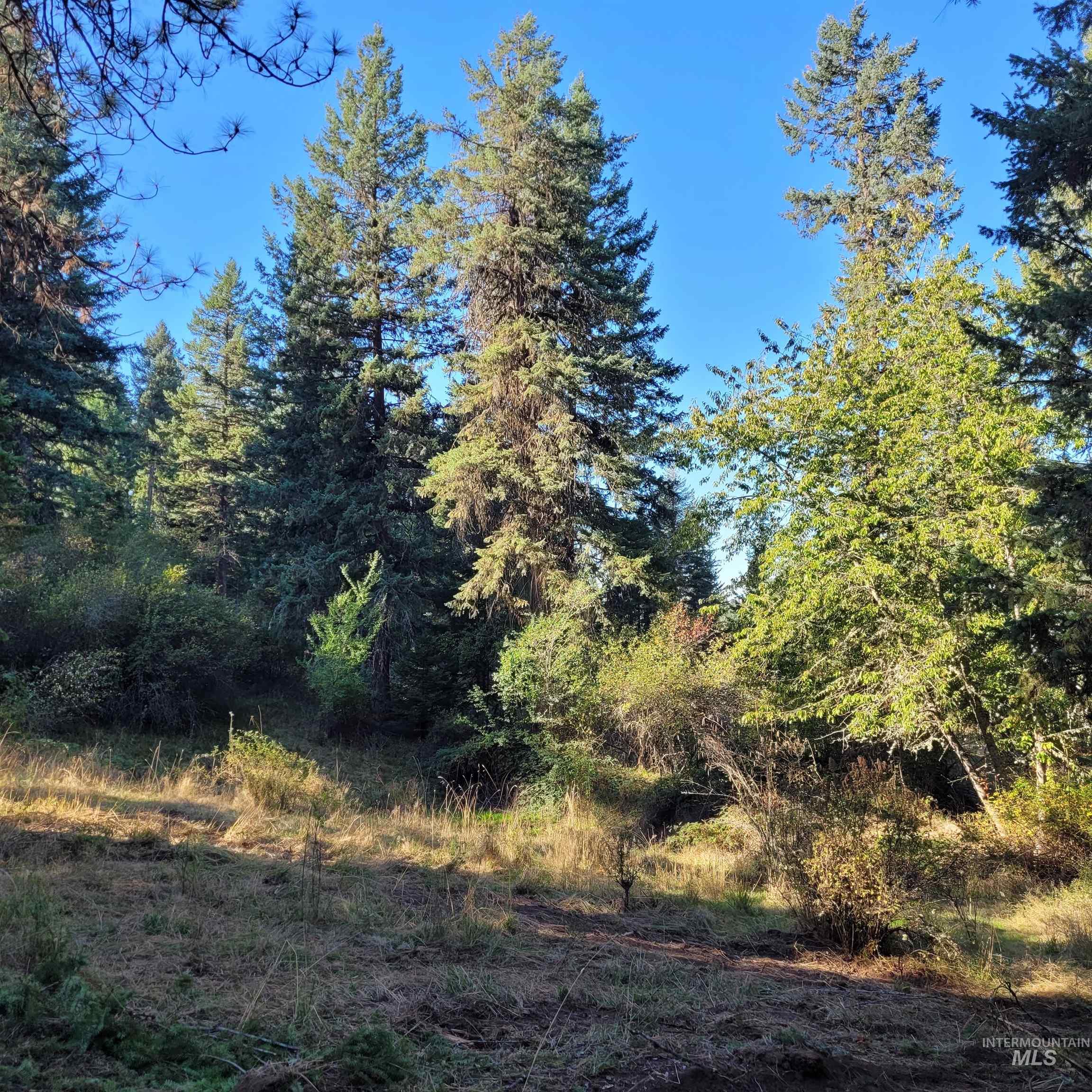 Parcel A Elk City Wagon Road, Clearwater, Idaho 83552, Land For Sale, Price $85,000,MLS 98989847