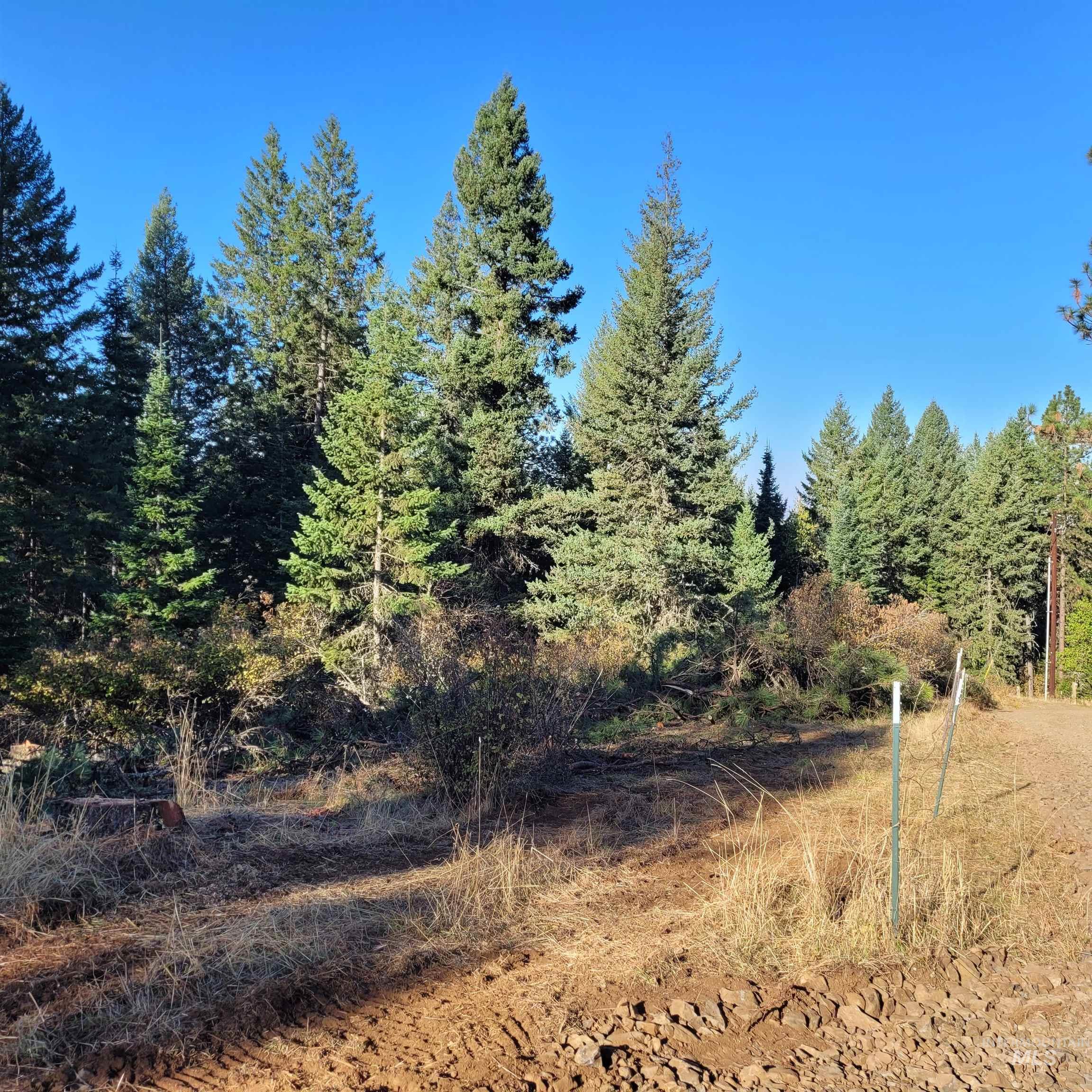 Parcel A Elk City Wagon Road, Clearwater, Idaho 83552, Land For Sale, Price $85,000,MLS 98989847