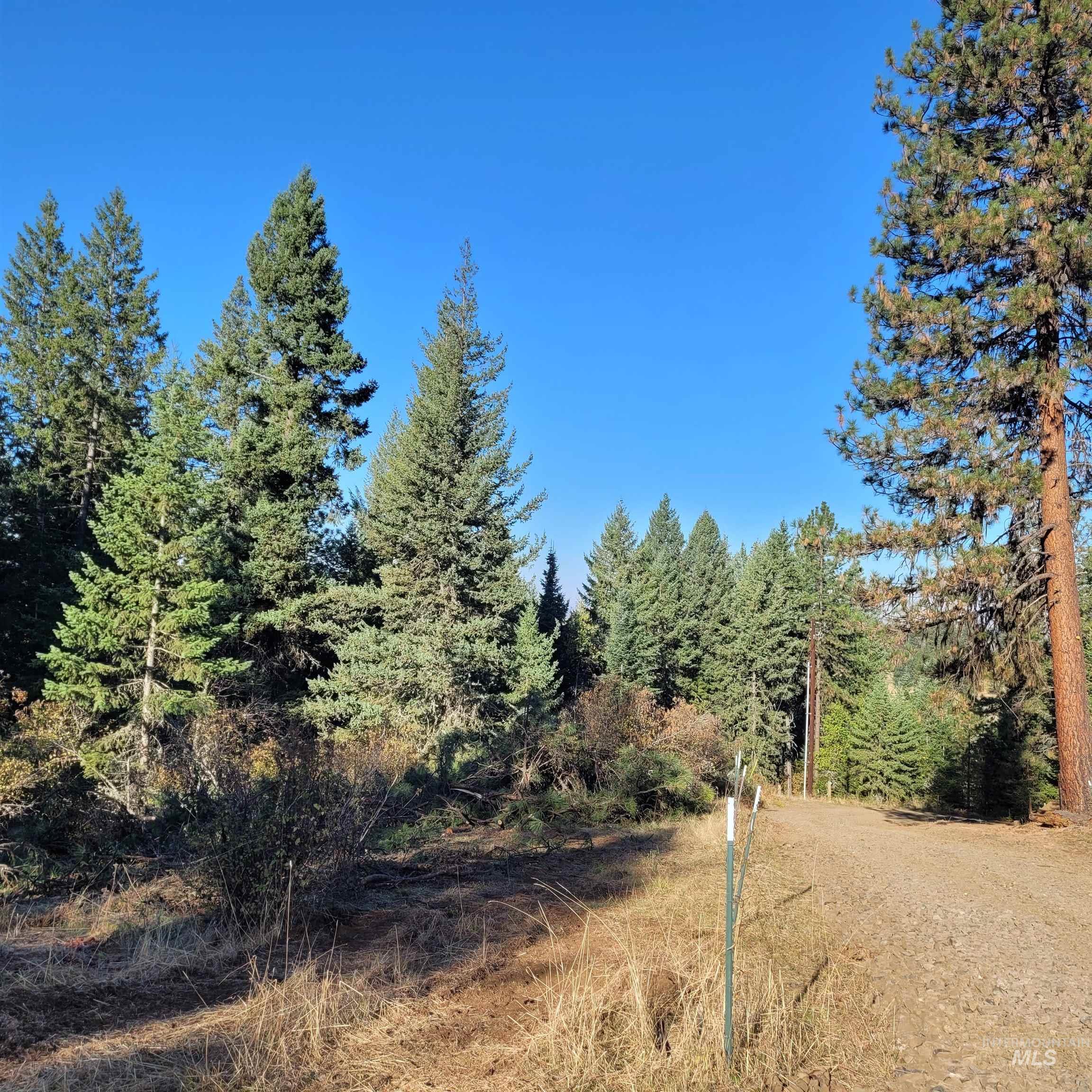 Parcel A Elk City Wagon Road, Clearwater, Idaho 83552, Land For Sale, Price $85,000,MLS 98989847