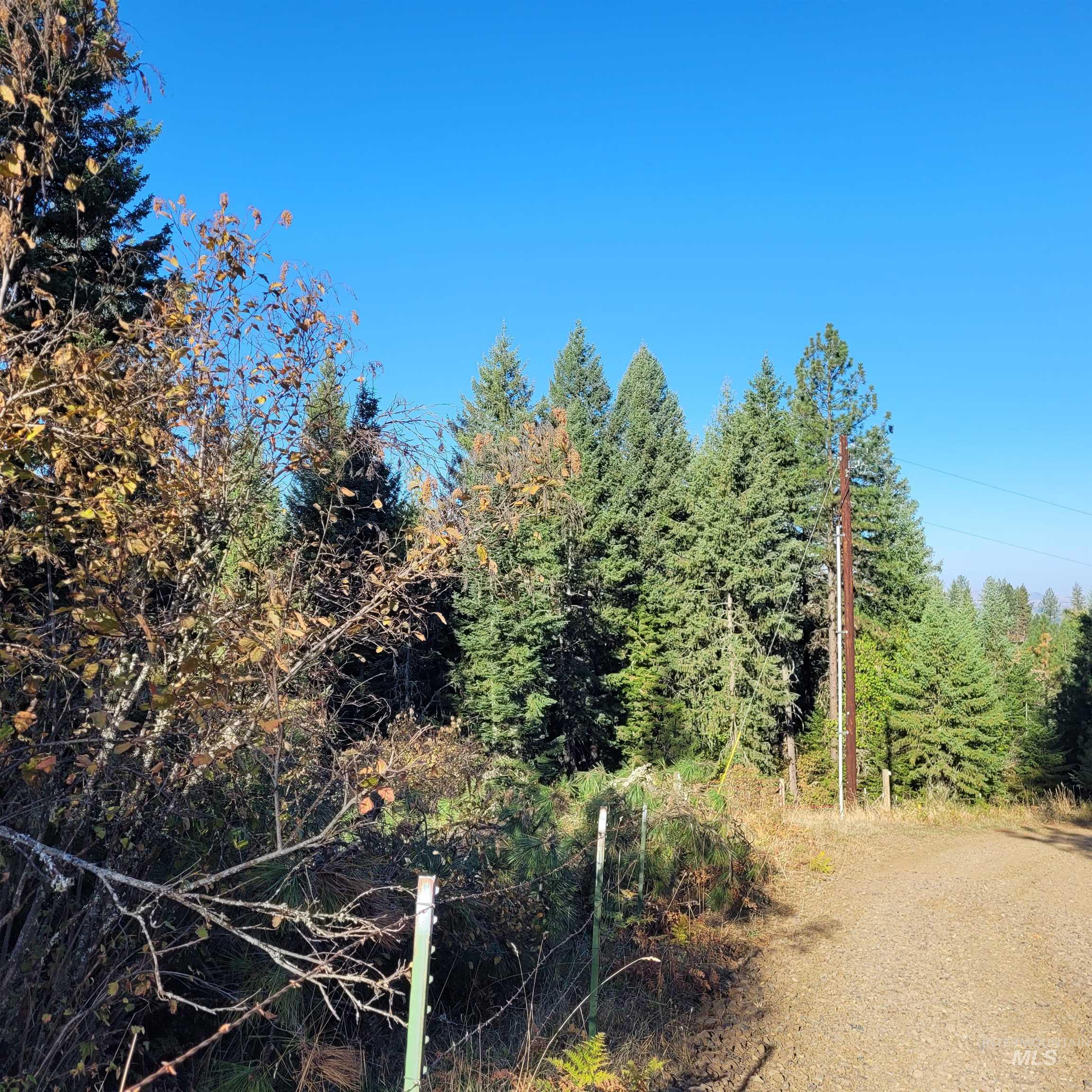 Parcel A Elk City Wagon Road, Clearwater, Idaho 83552, Land For Sale, Price $85,000,MLS 98989847