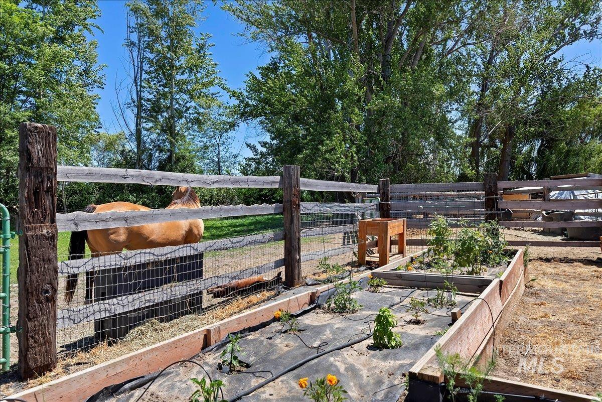 7345 Silver Bullet Ln, Star, Idaho 83669, 3 Bedrooms, 2 Bathrooms, Residential For Sale, Price $1,050,000,MLS 98989876