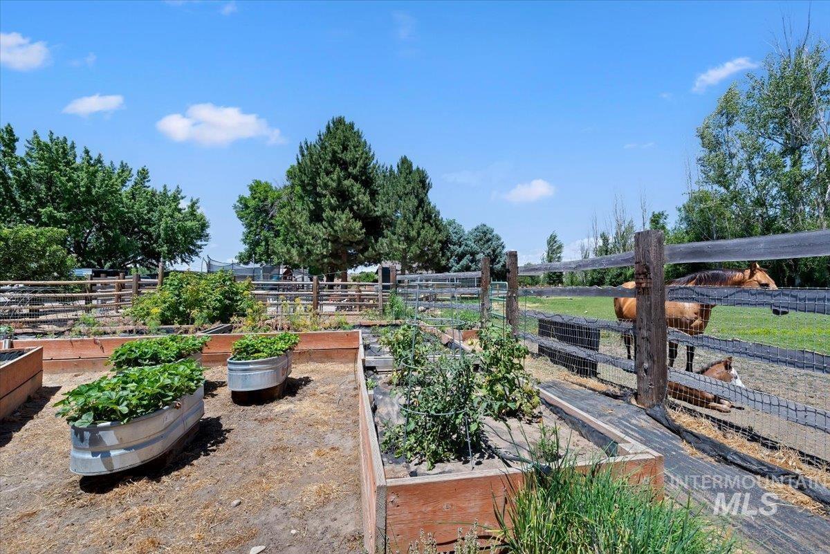 7345 Silver Bullet Ln, Star, Idaho 83669, 3 Bedrooms, 2 Bathrooms, Residential For Sale, Price $1,050,000,MLS 98989876