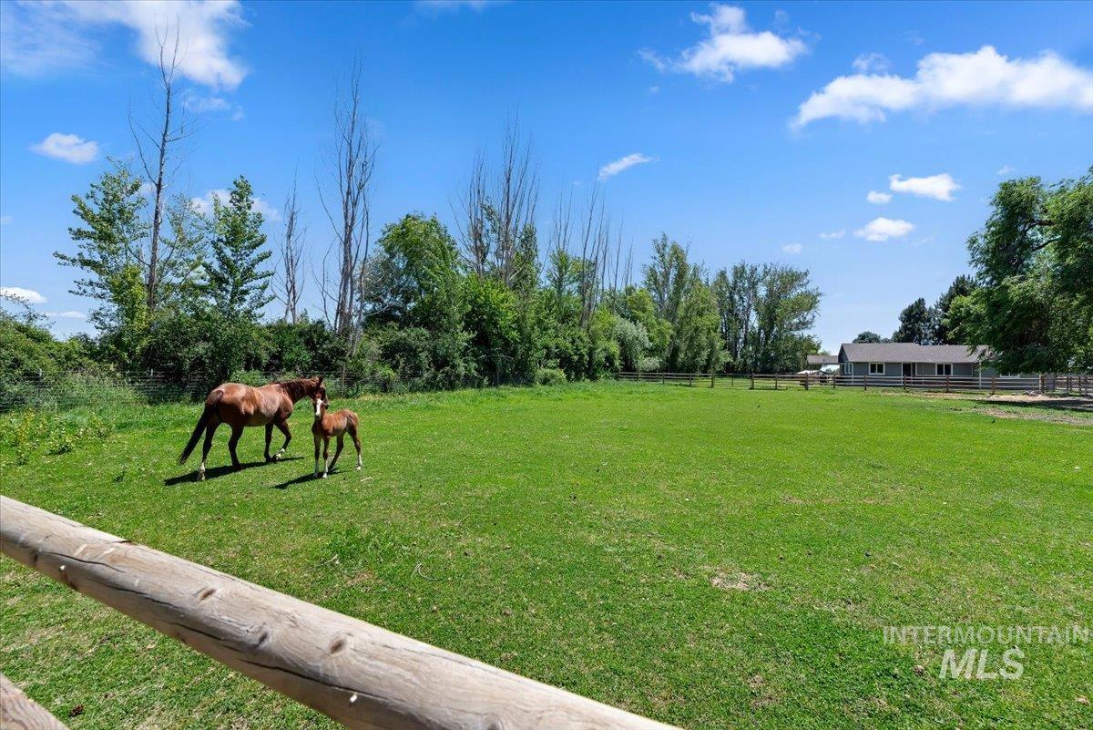 7345 Silver Bullet Ln, Star, Idaho 83669, 3 Bedrooms, 2 Bathrooms, Residential For Sale, Price $1,050,000,MLS 98989876