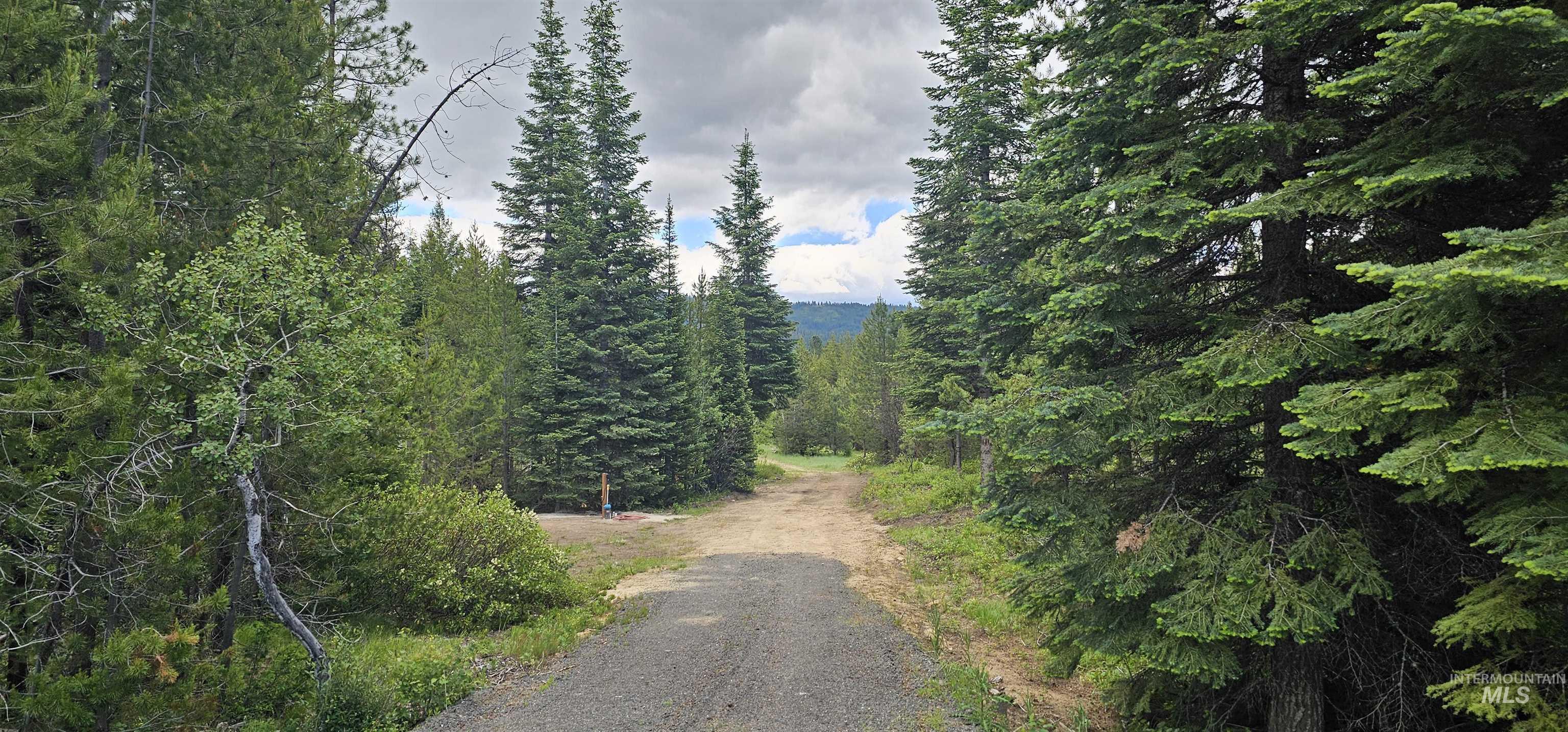 23 Sawtooth Loop, Cascade, Idaho 83611, Land For Sale, Price $299,900,MLS 98990017