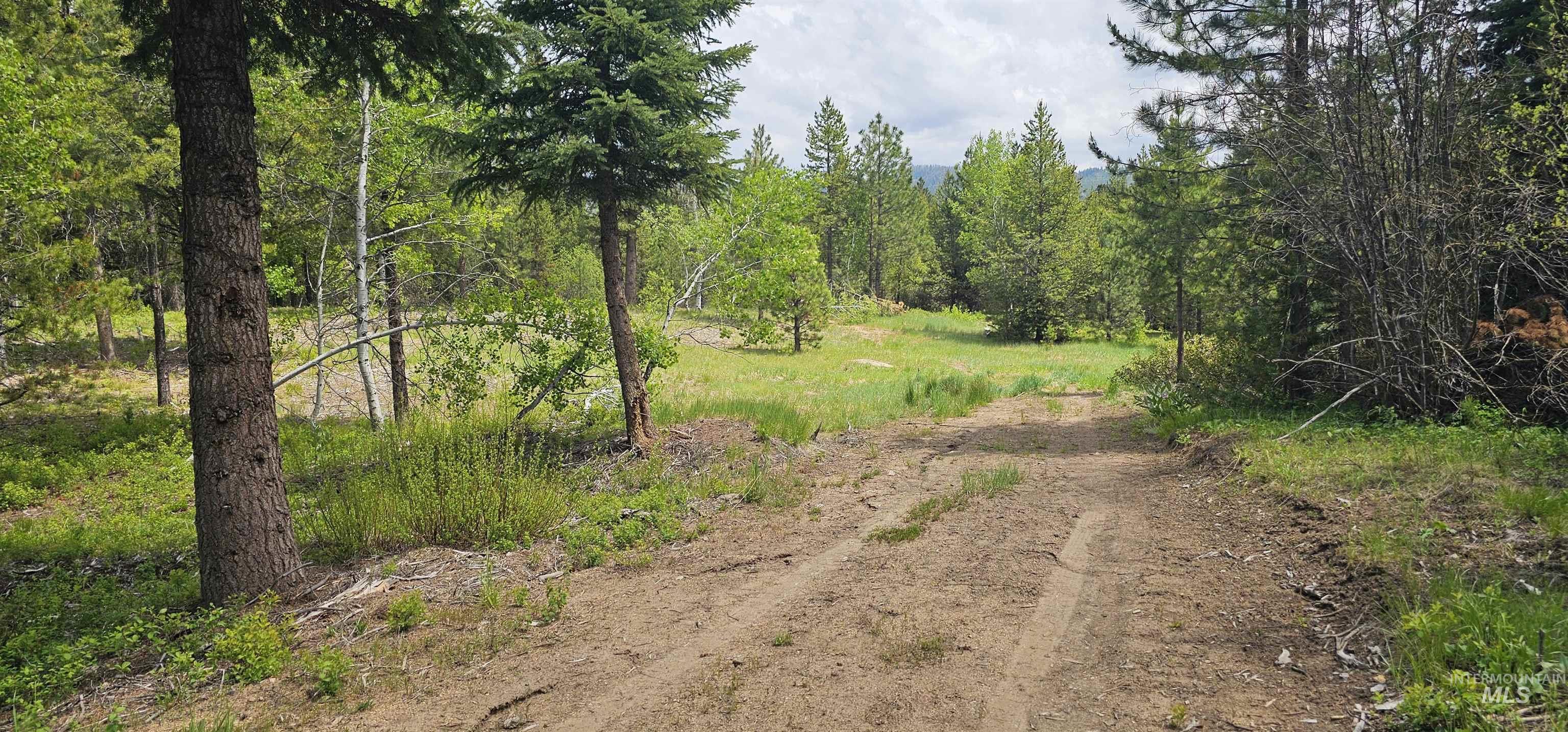 23 Sawtooth Loop, Cascade, Idaho 83611, Land For Sale, Price $299,900,MLS 98990017