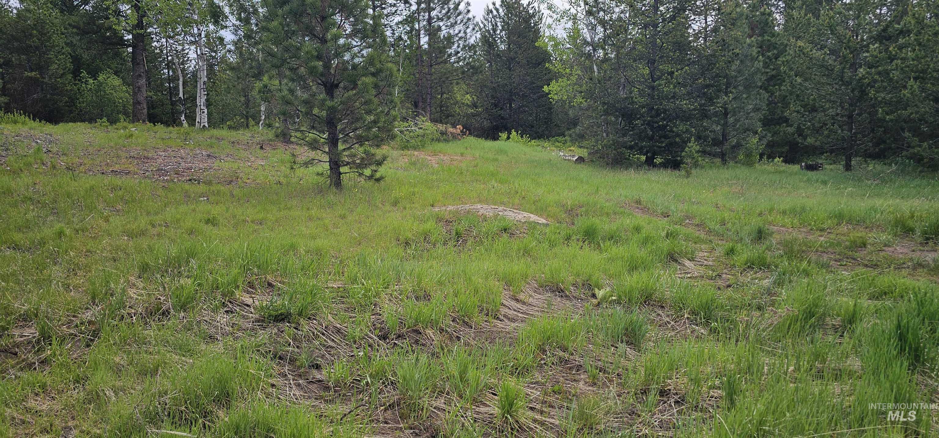 23 Sawtooth Loop, Cascade, Idaho 83611, Land For Sale, Price $299,900,MLS 98990017
