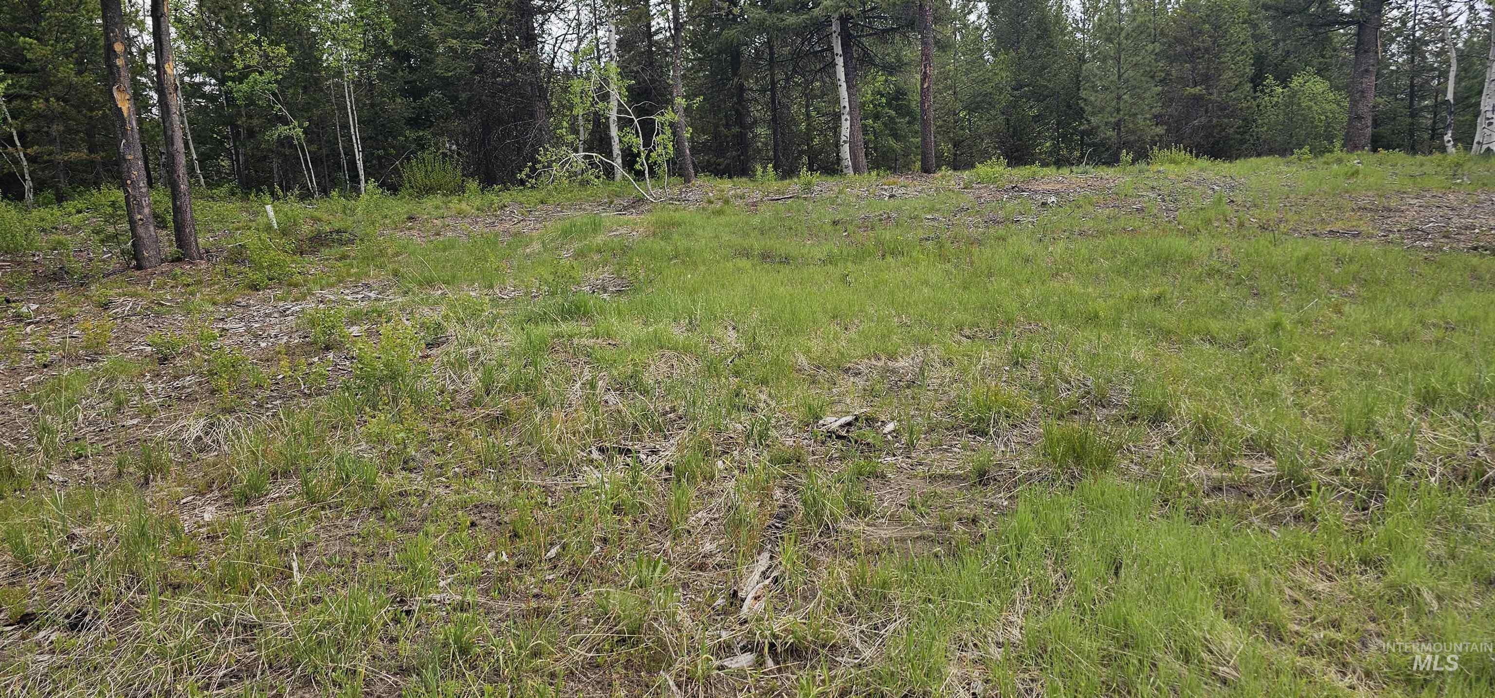 23 Sawtooth Loop, Cascade, Idaho 83611, Land For Sale, Price $299,900,MLS 98990017