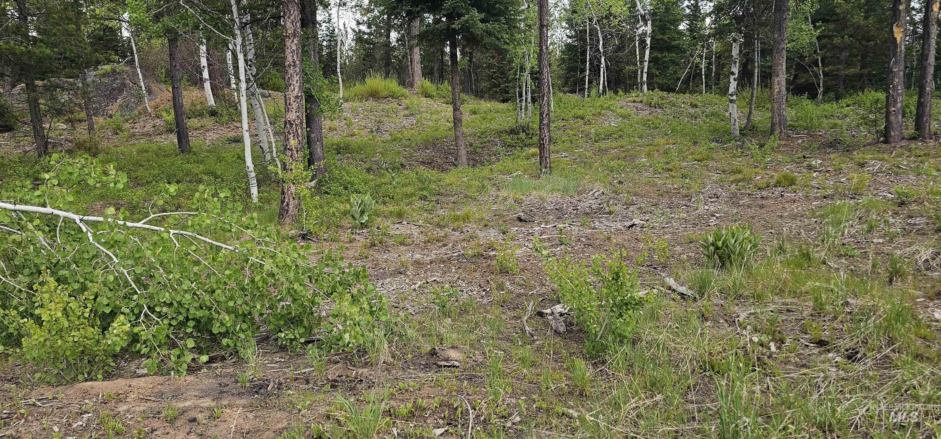23 Sawtooth Loop, Cascade, Idaho 83611, Land For Sale, Price $299,900,MLS 98990017